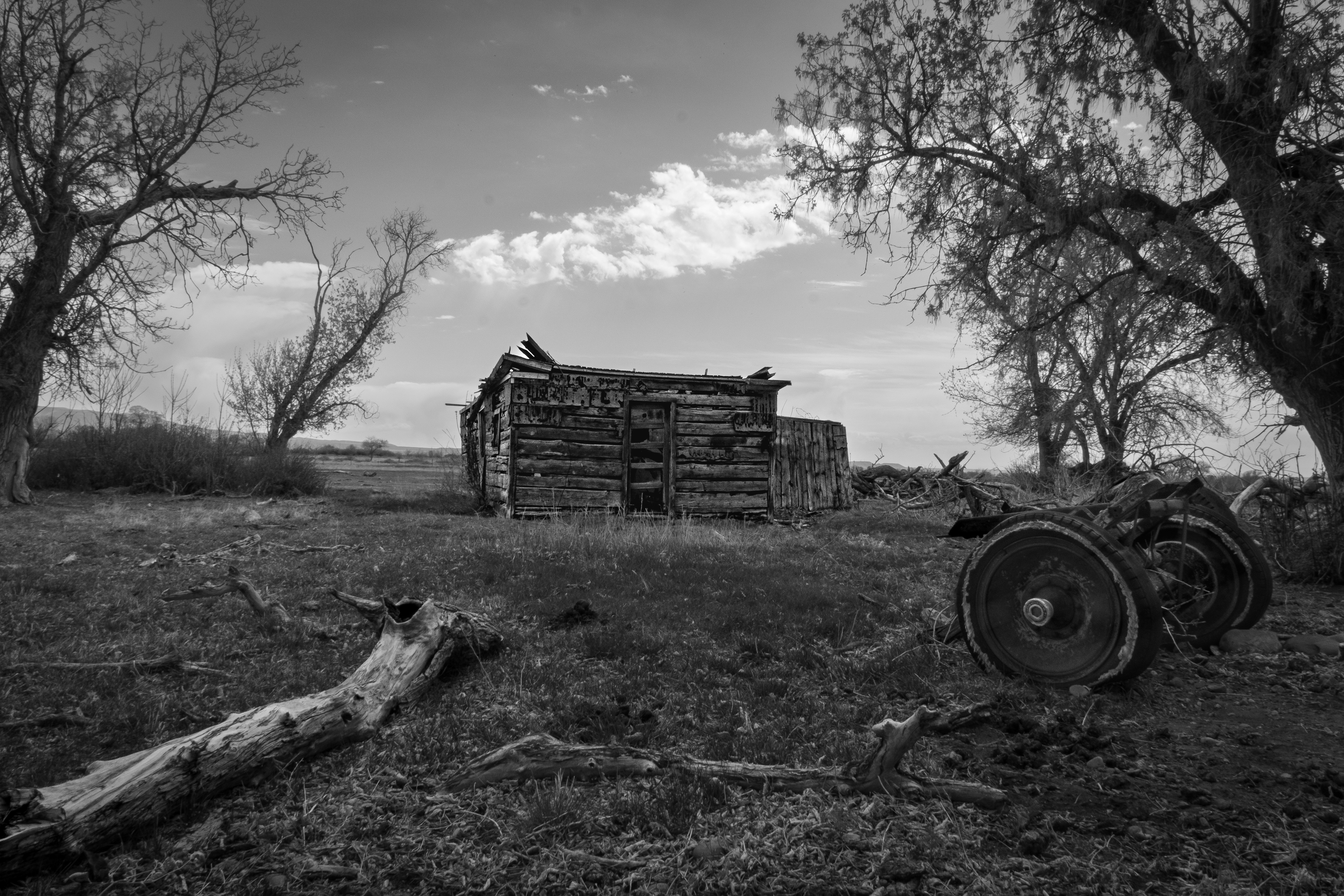 Photo by donald_merrill