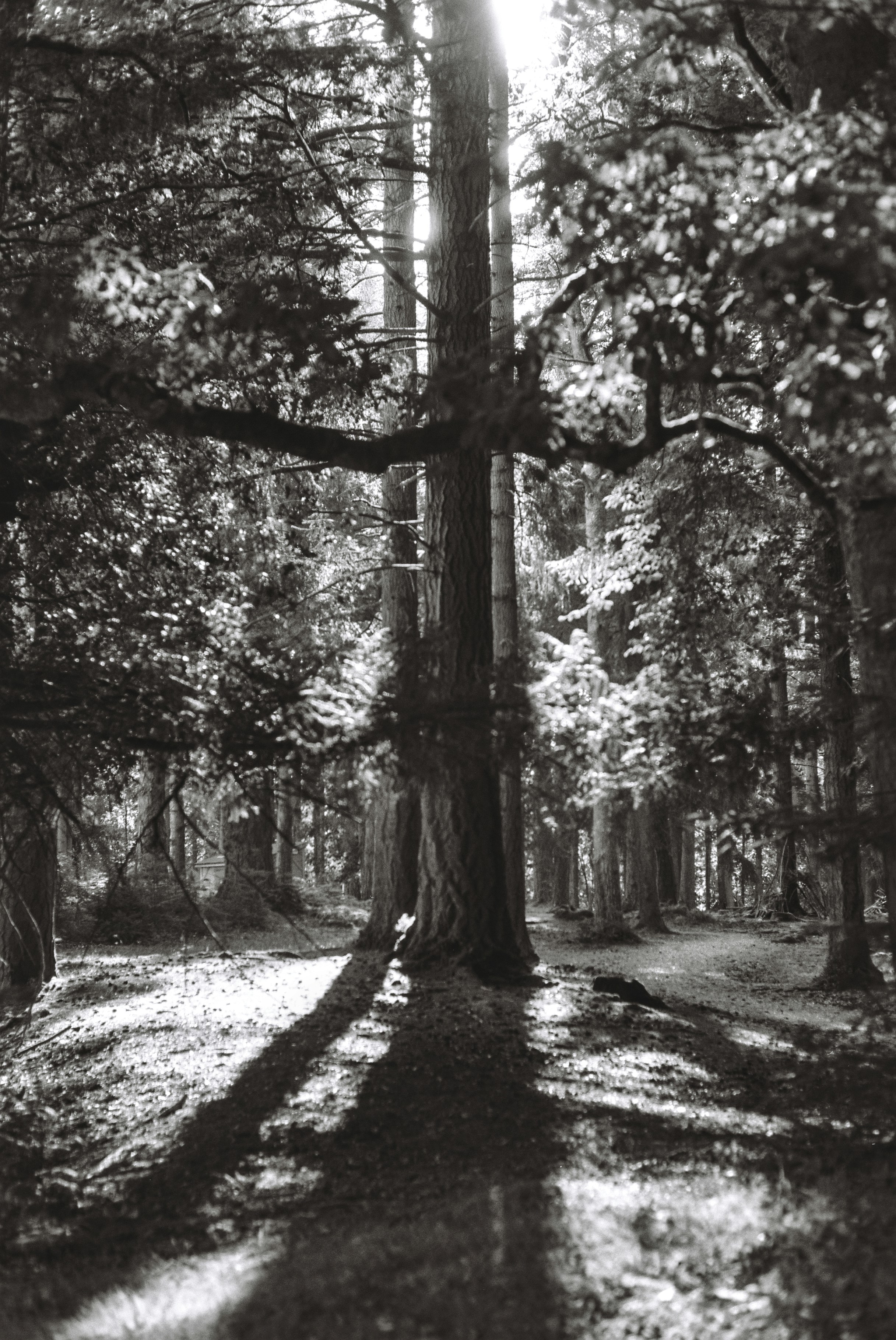 Photo by alexanderpharwood