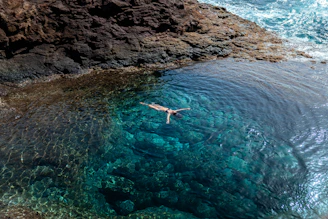 A person floats in a natural, clear tide pool.