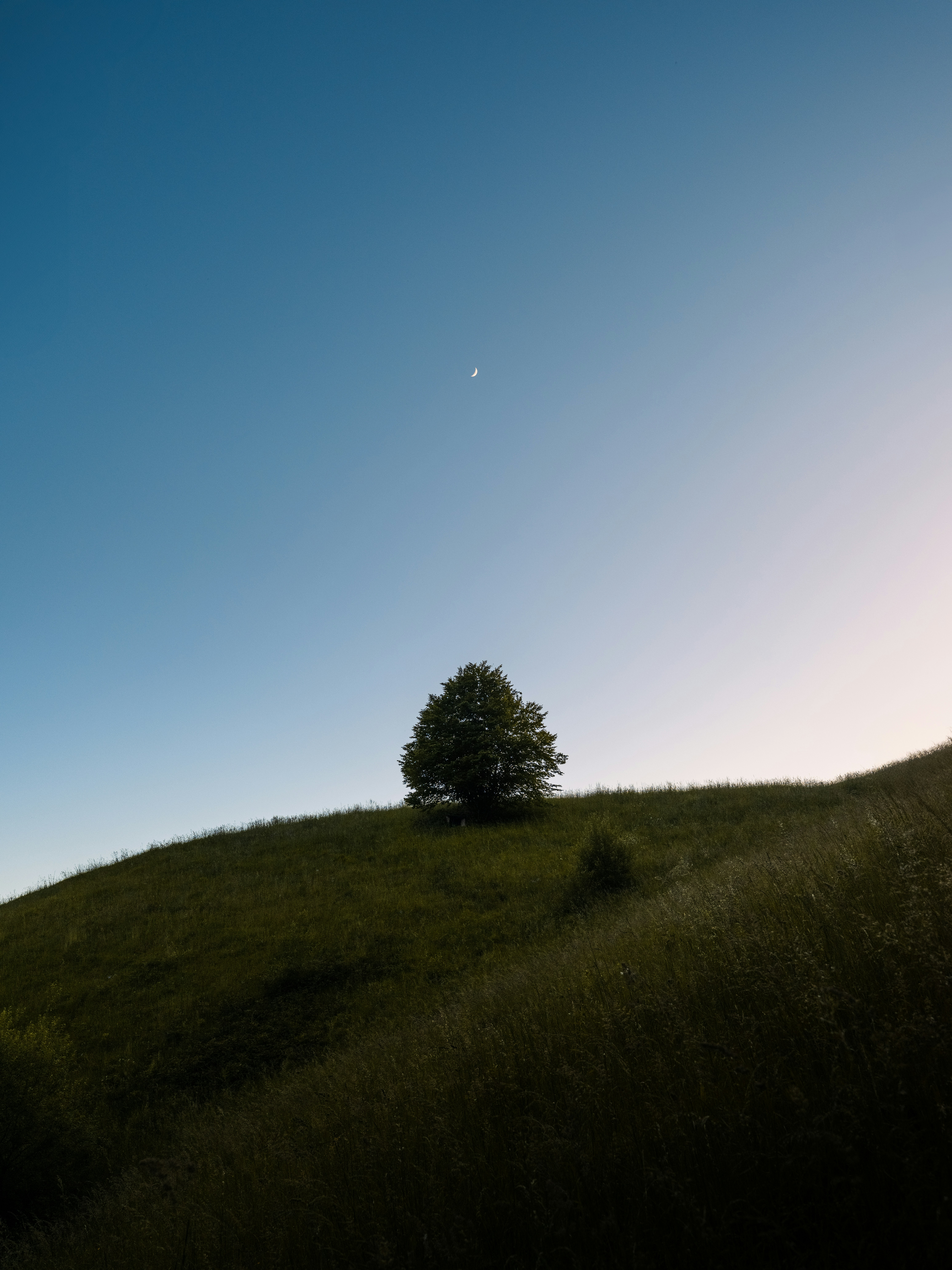 Photo by kevinmueller