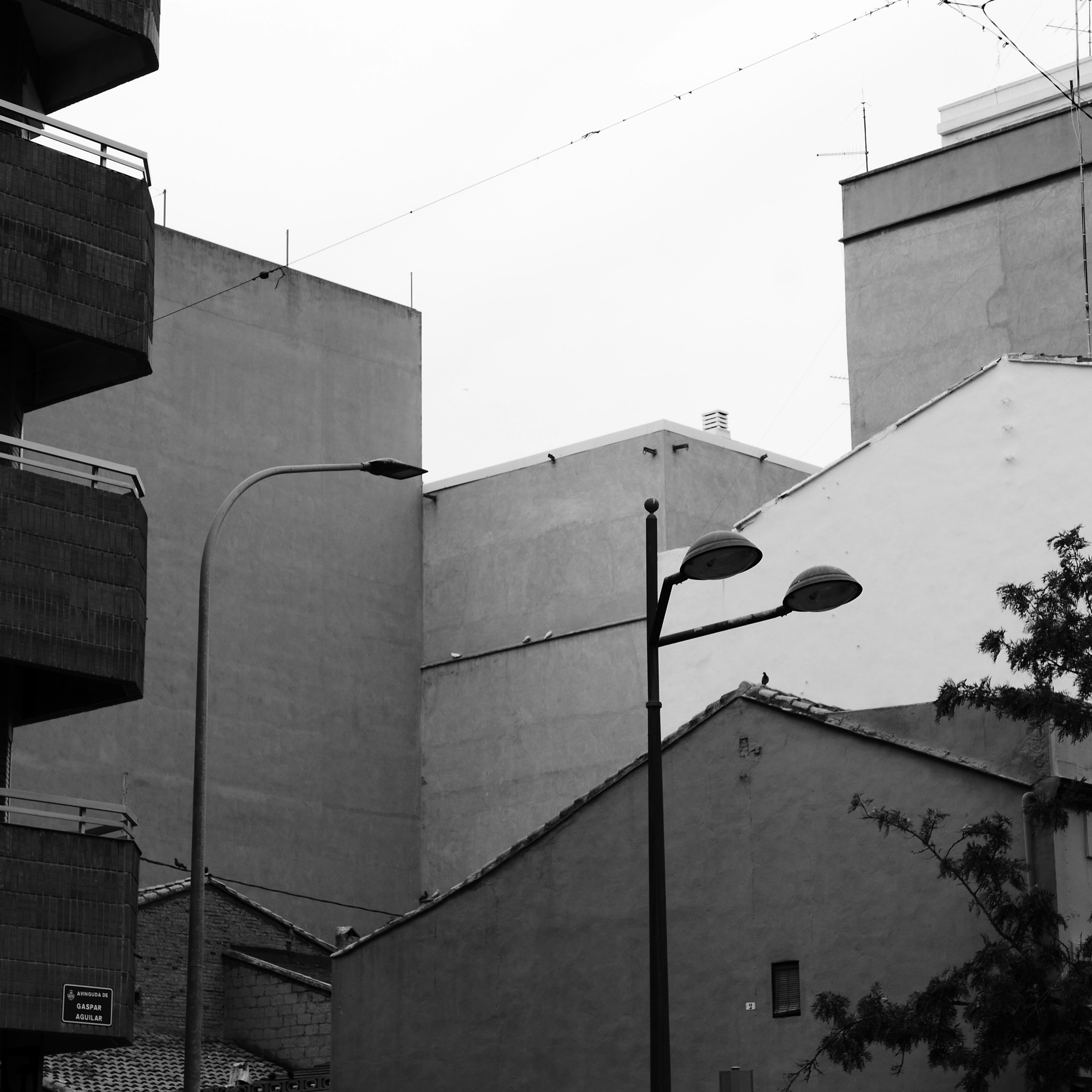 Photo by basgicilarelif