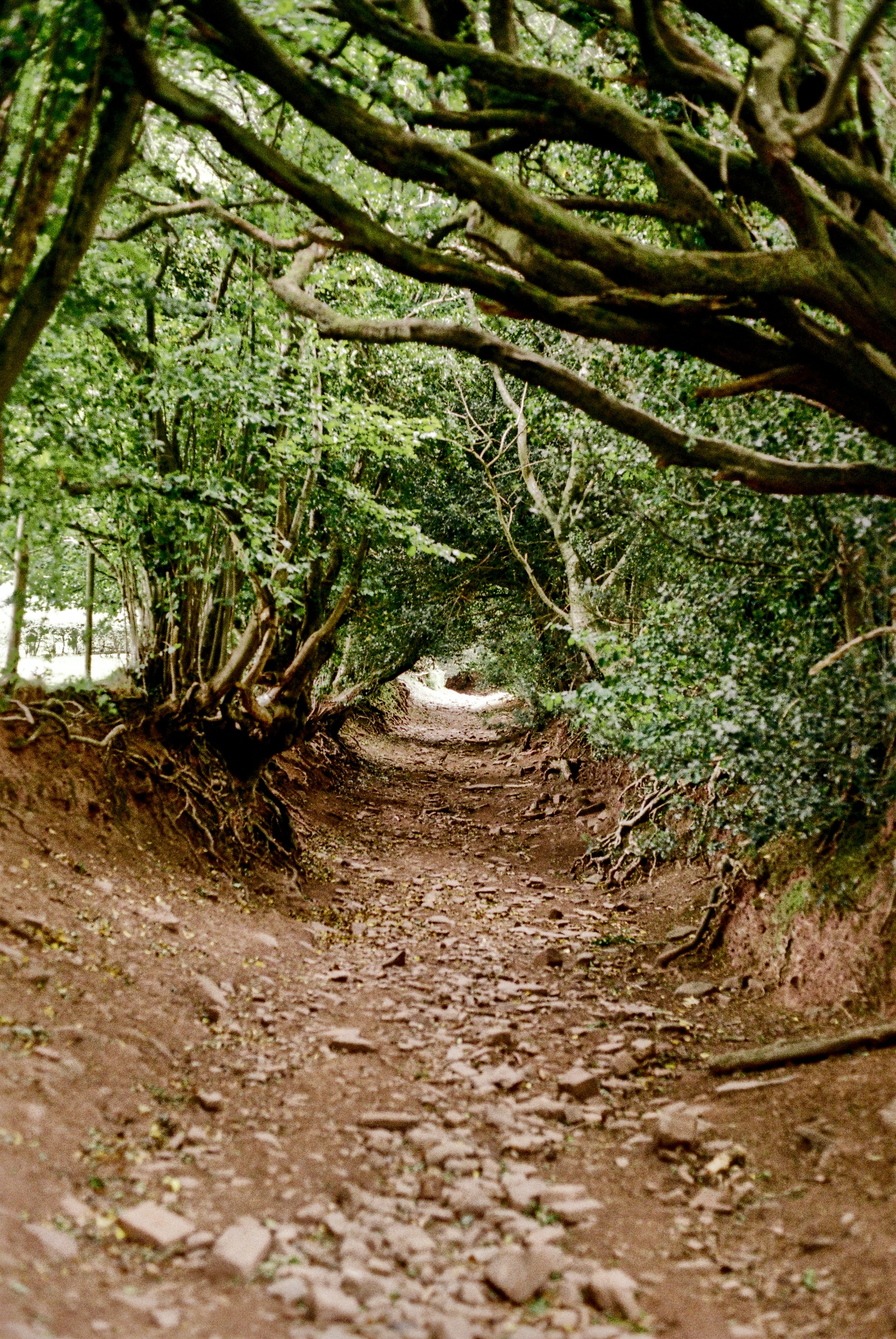 Photo by alexanderpharwood