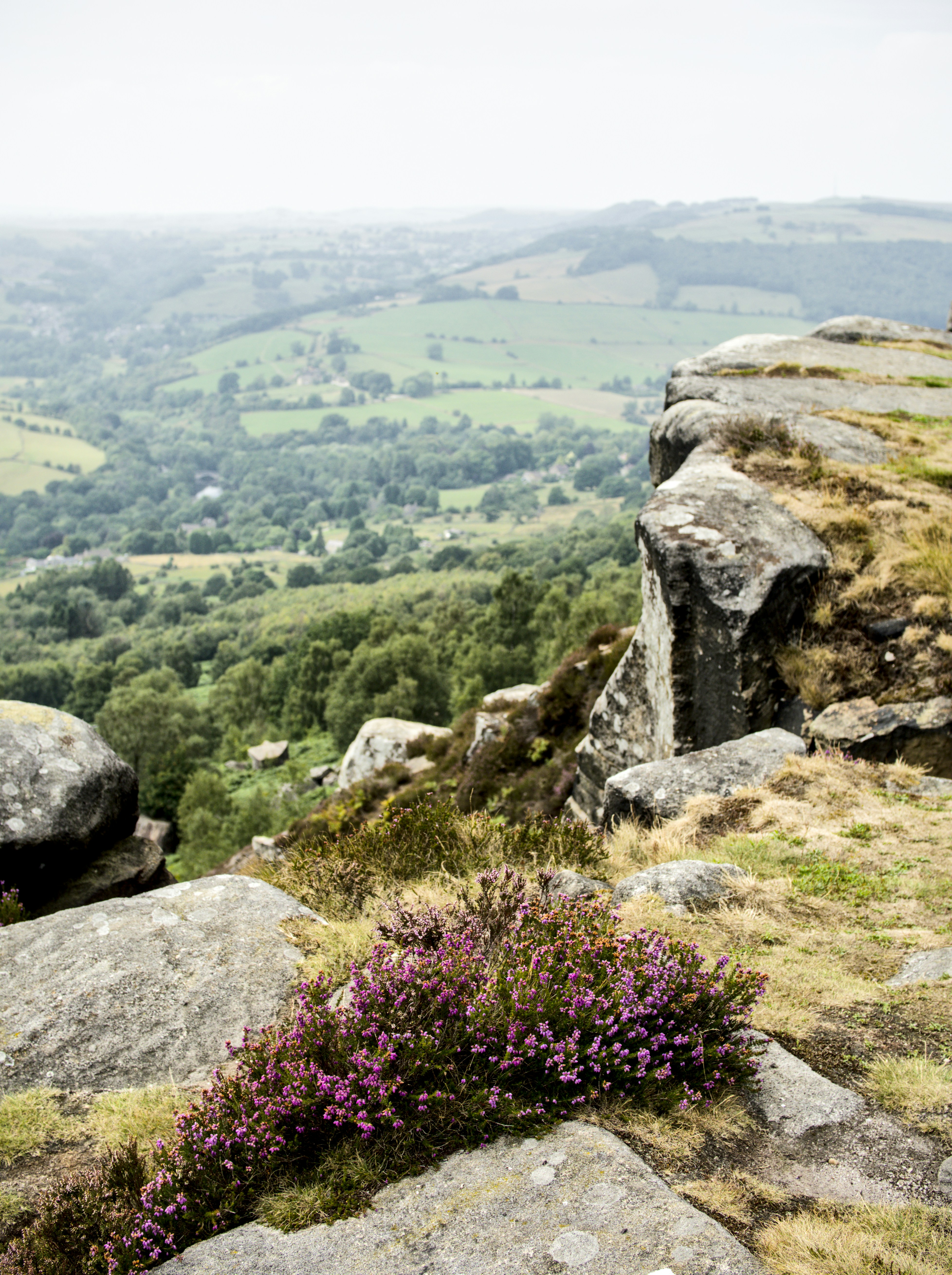 Photo by alexanderpharwood