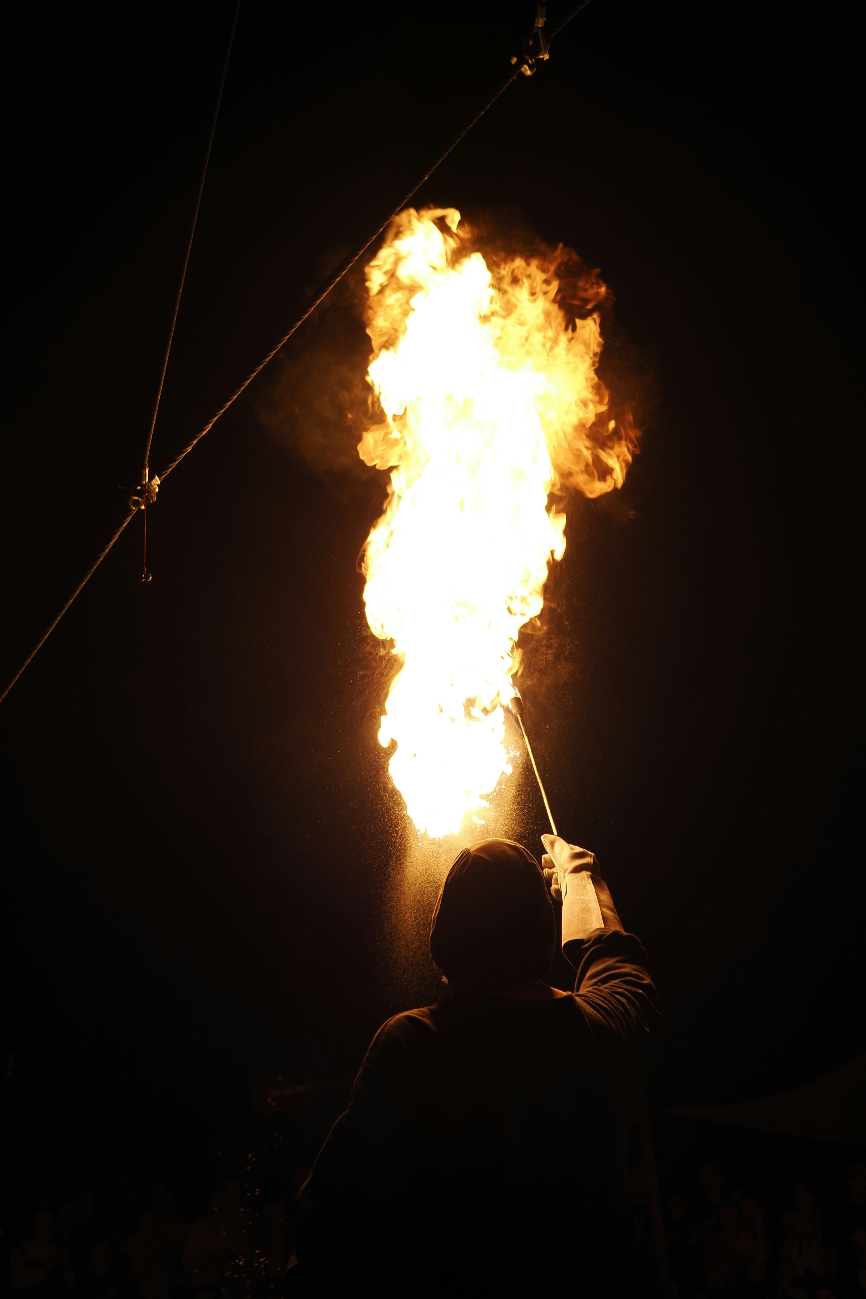 Photo by fotografie_thomas_nolte