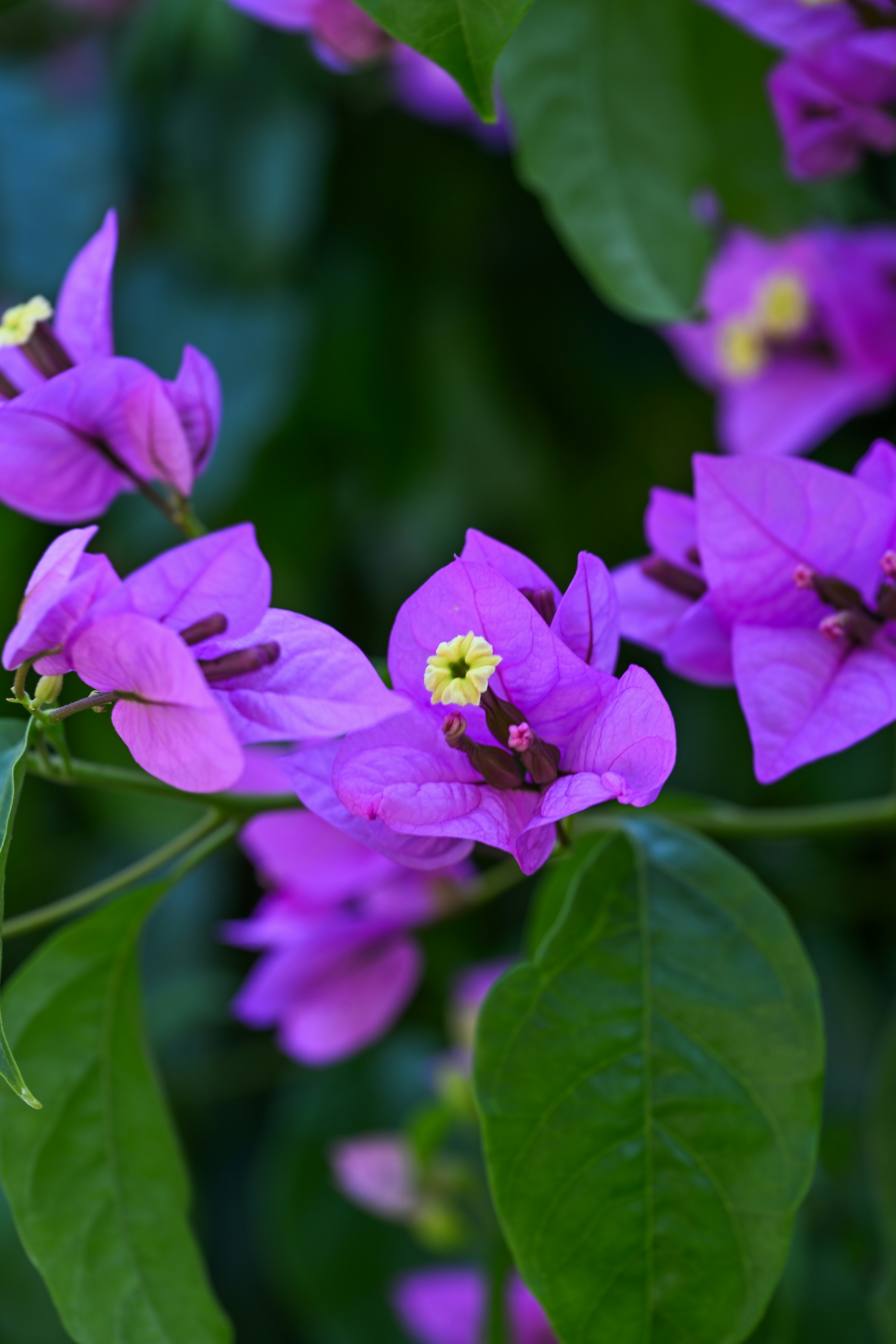 Photo by quadridiluce_fotografie