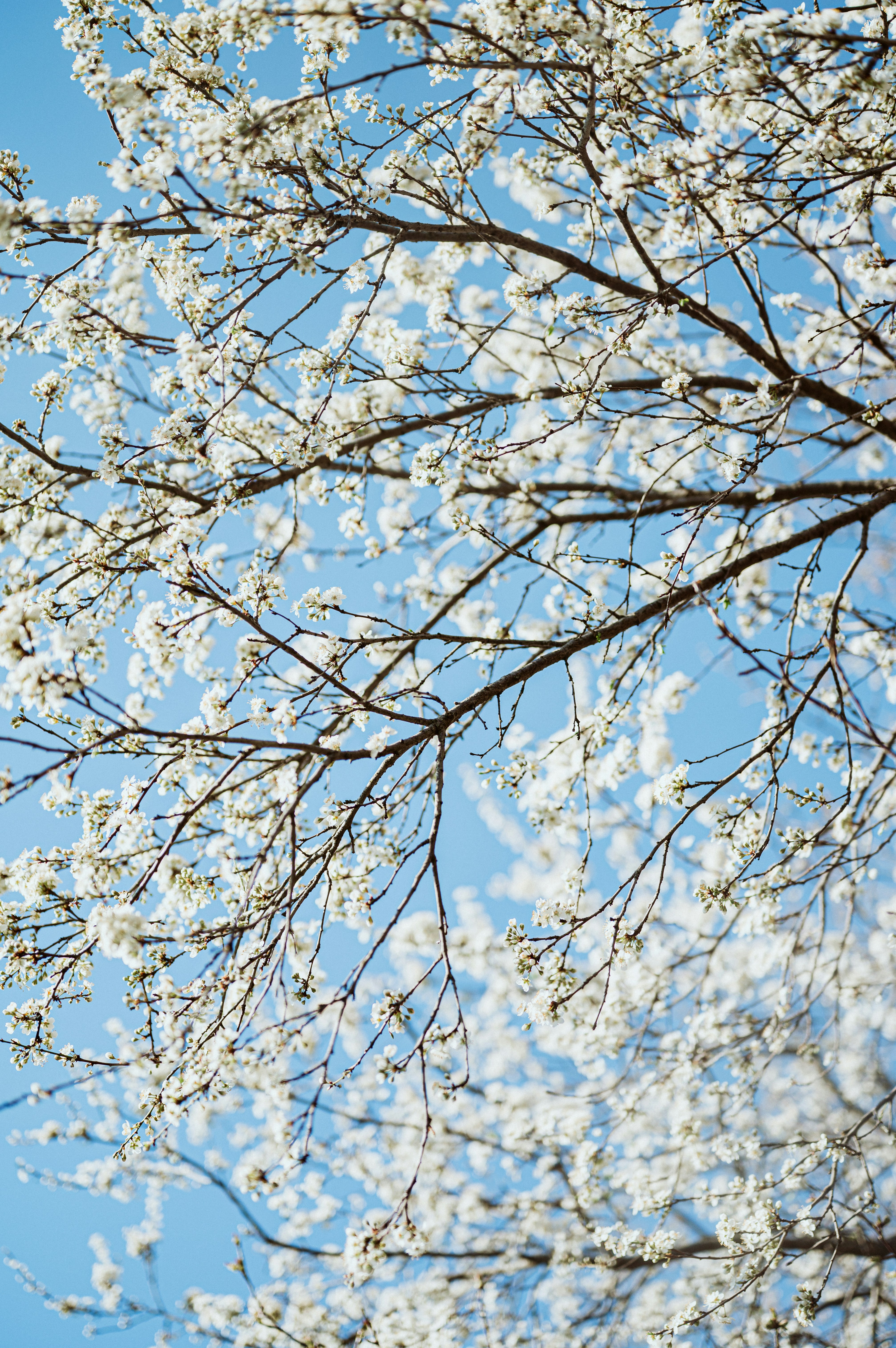 Photo by claudiumorut