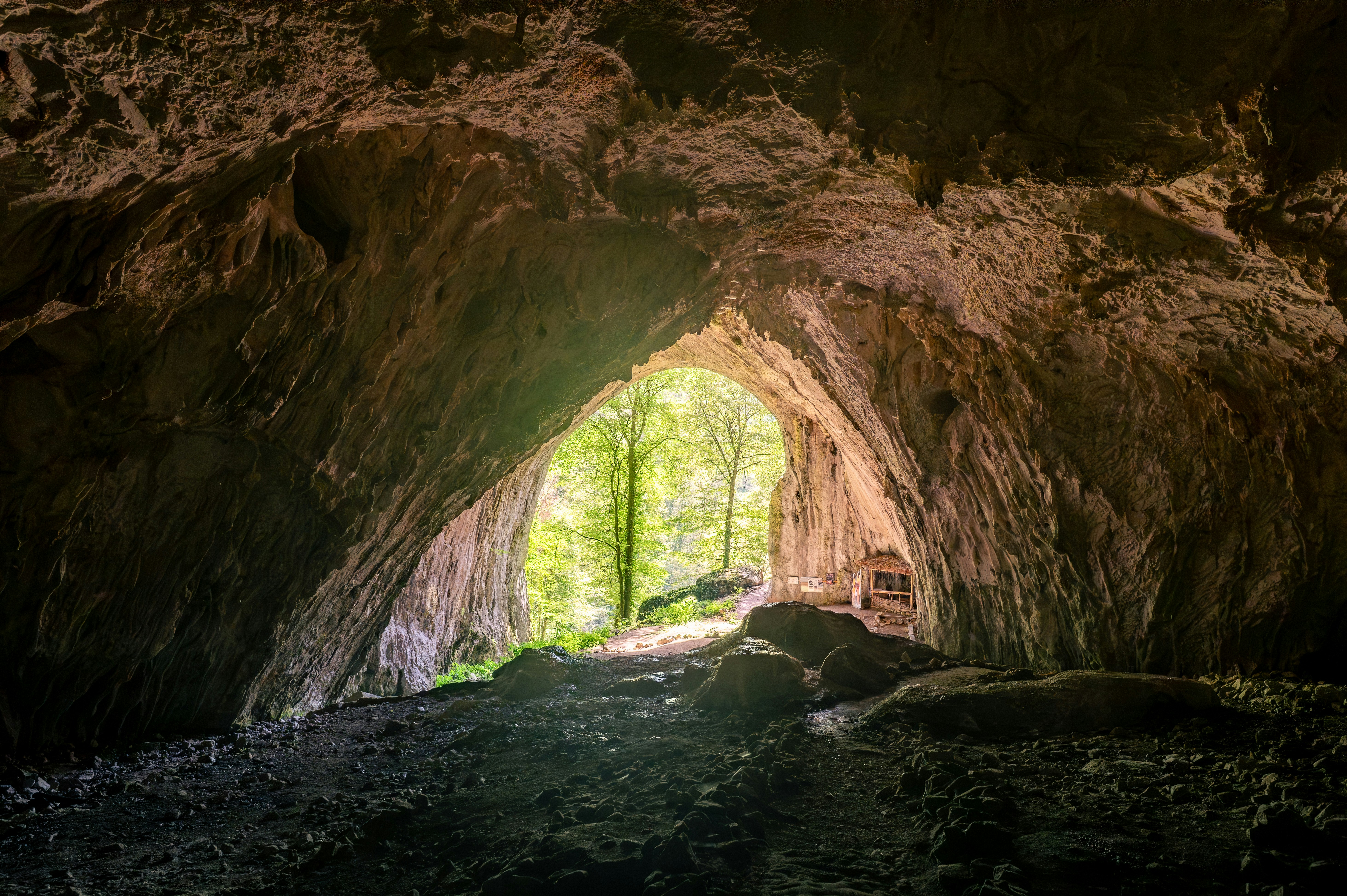 Photo by claudiumorut