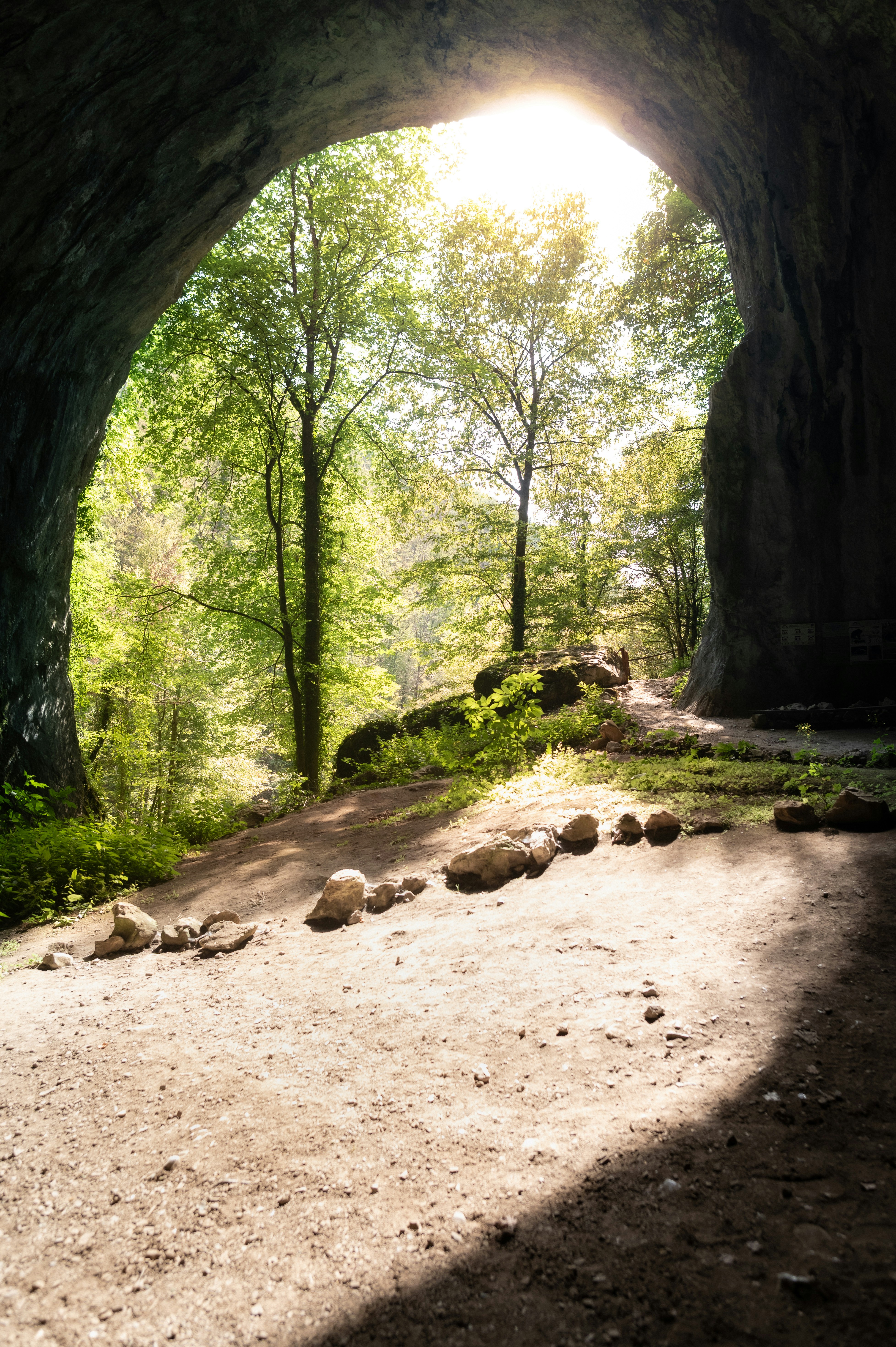 Photo by claudiumorut