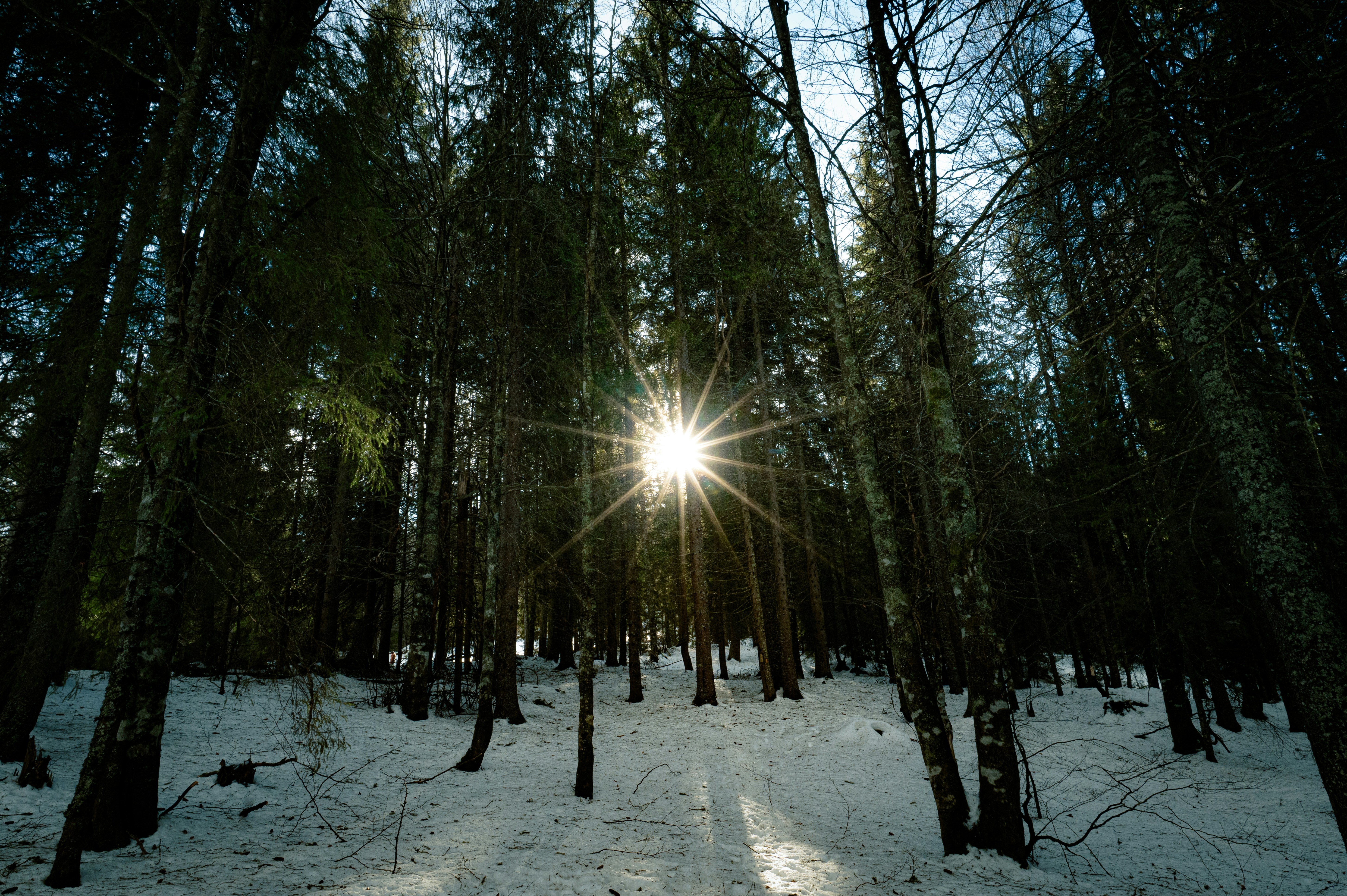 Photo by claudiumorut