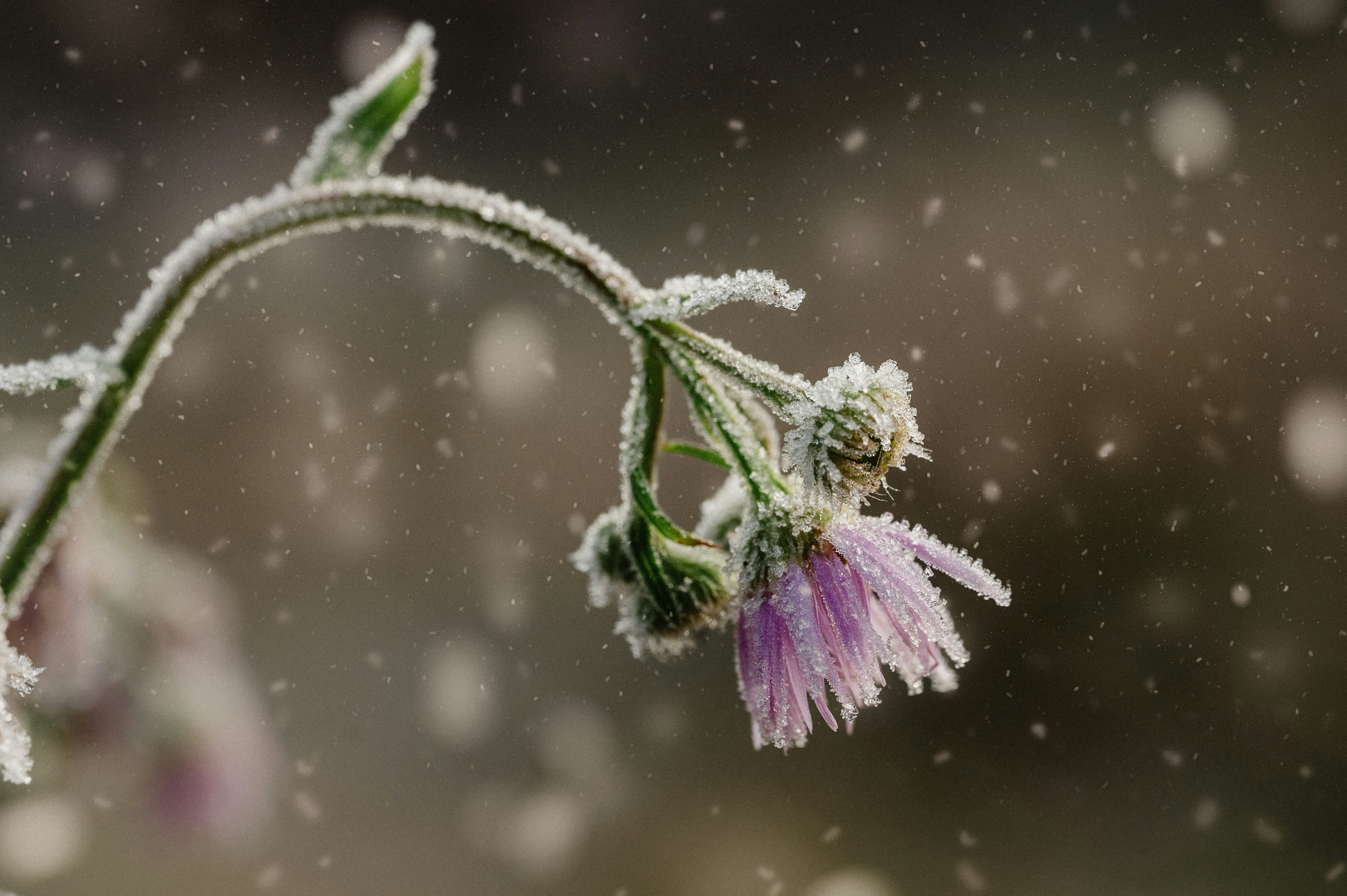 Photo by claudiumorut