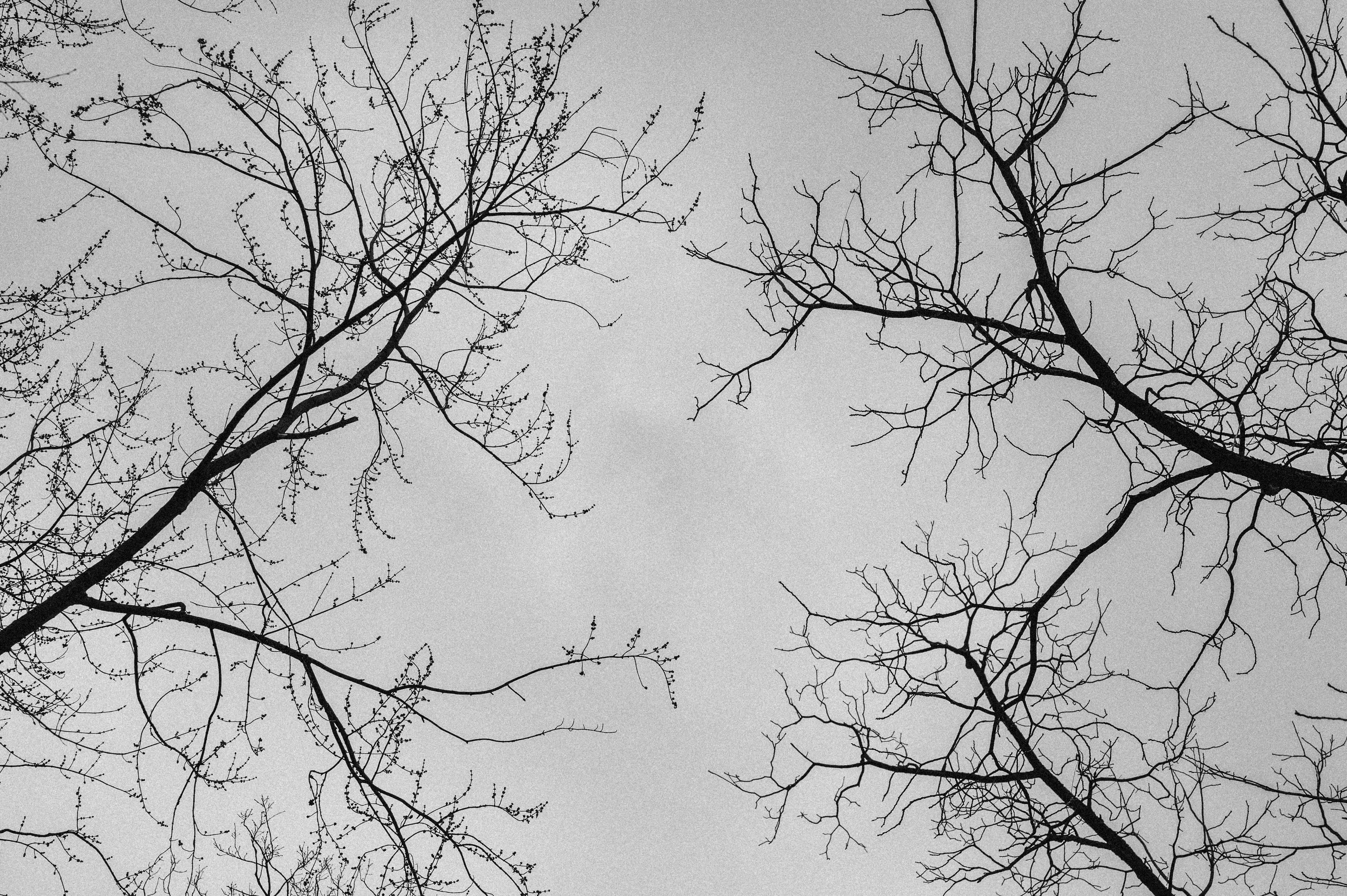 Photo by claudiumorut