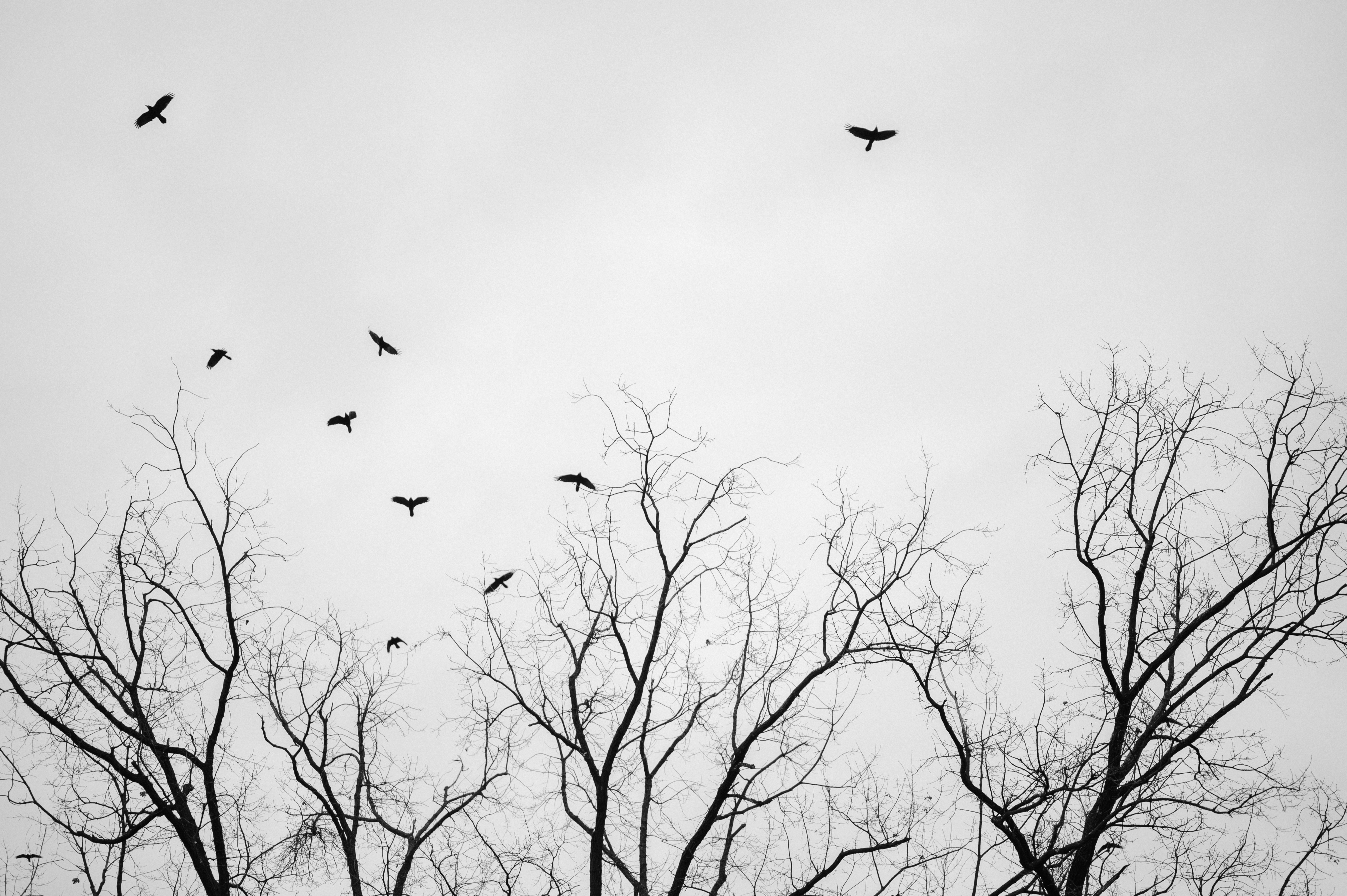 Photo by claudiumorut