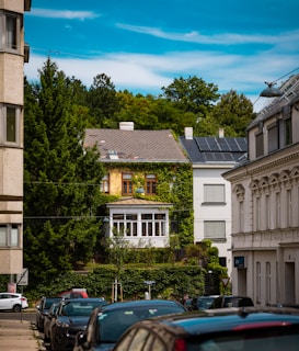 A green house is enveloped by foliage and cars.