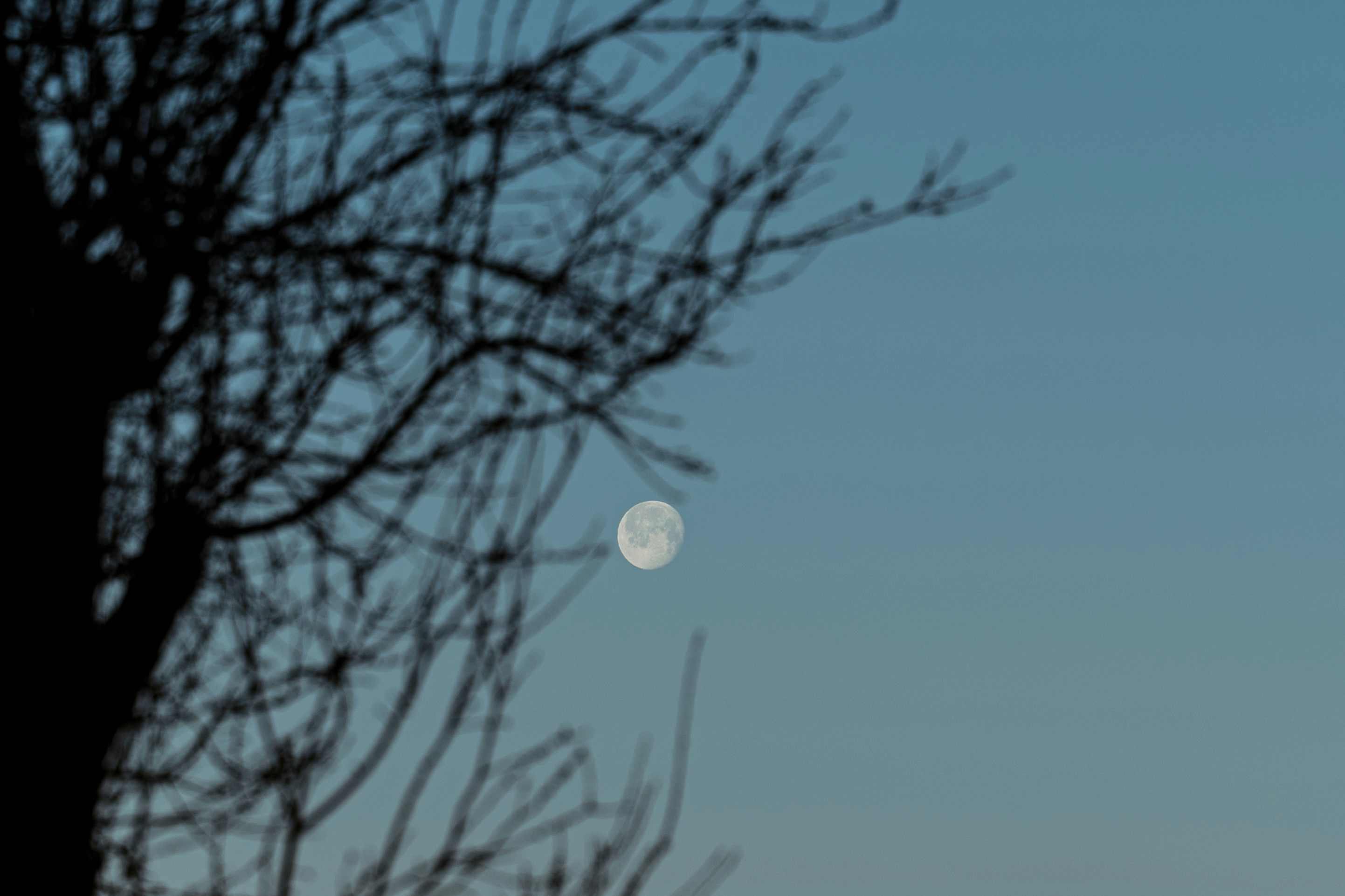 Photo by claudiumorut