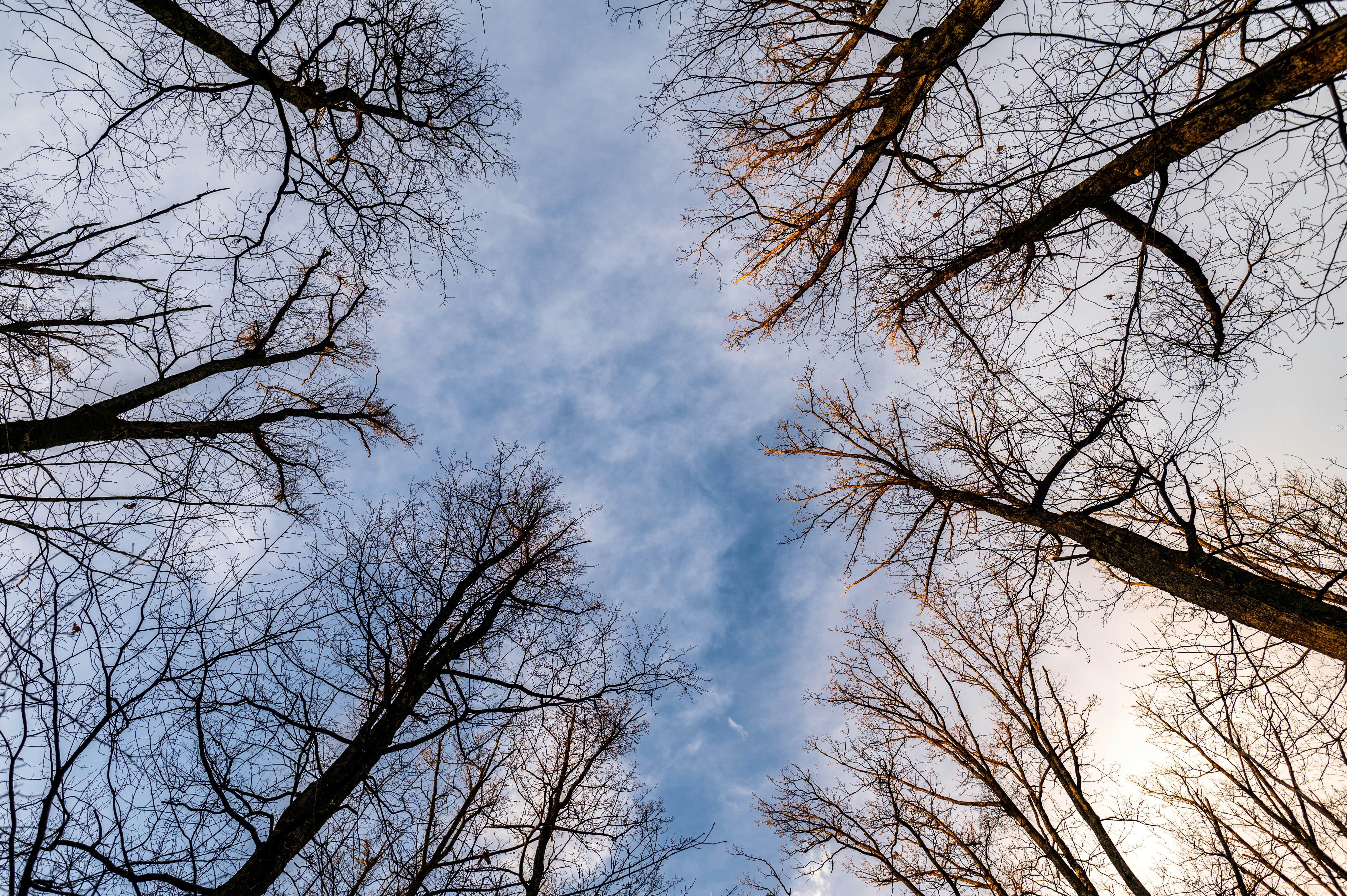 Photo by claudiumorut