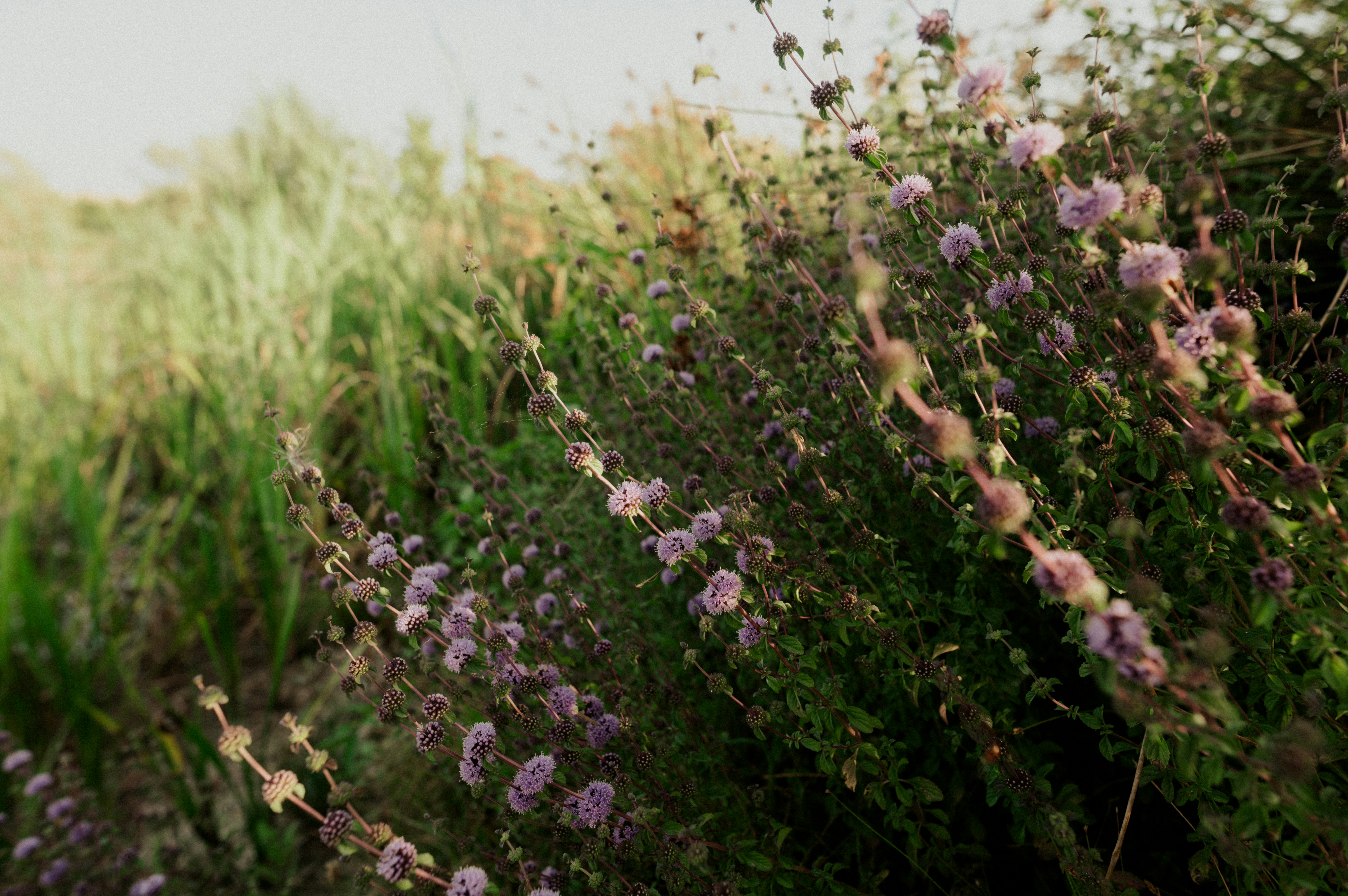 Photo by claudiumorut