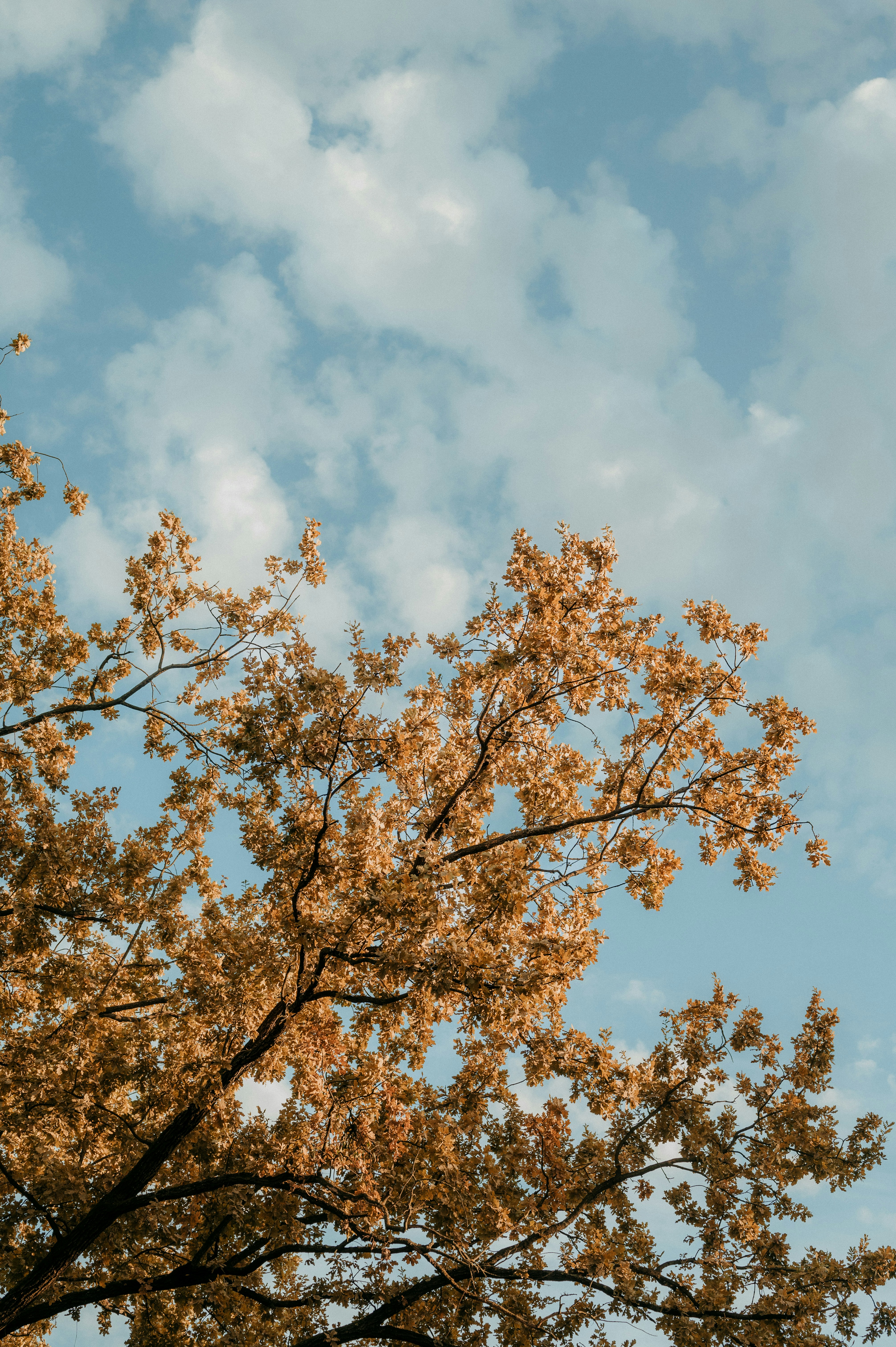 Photo by claudiumorut