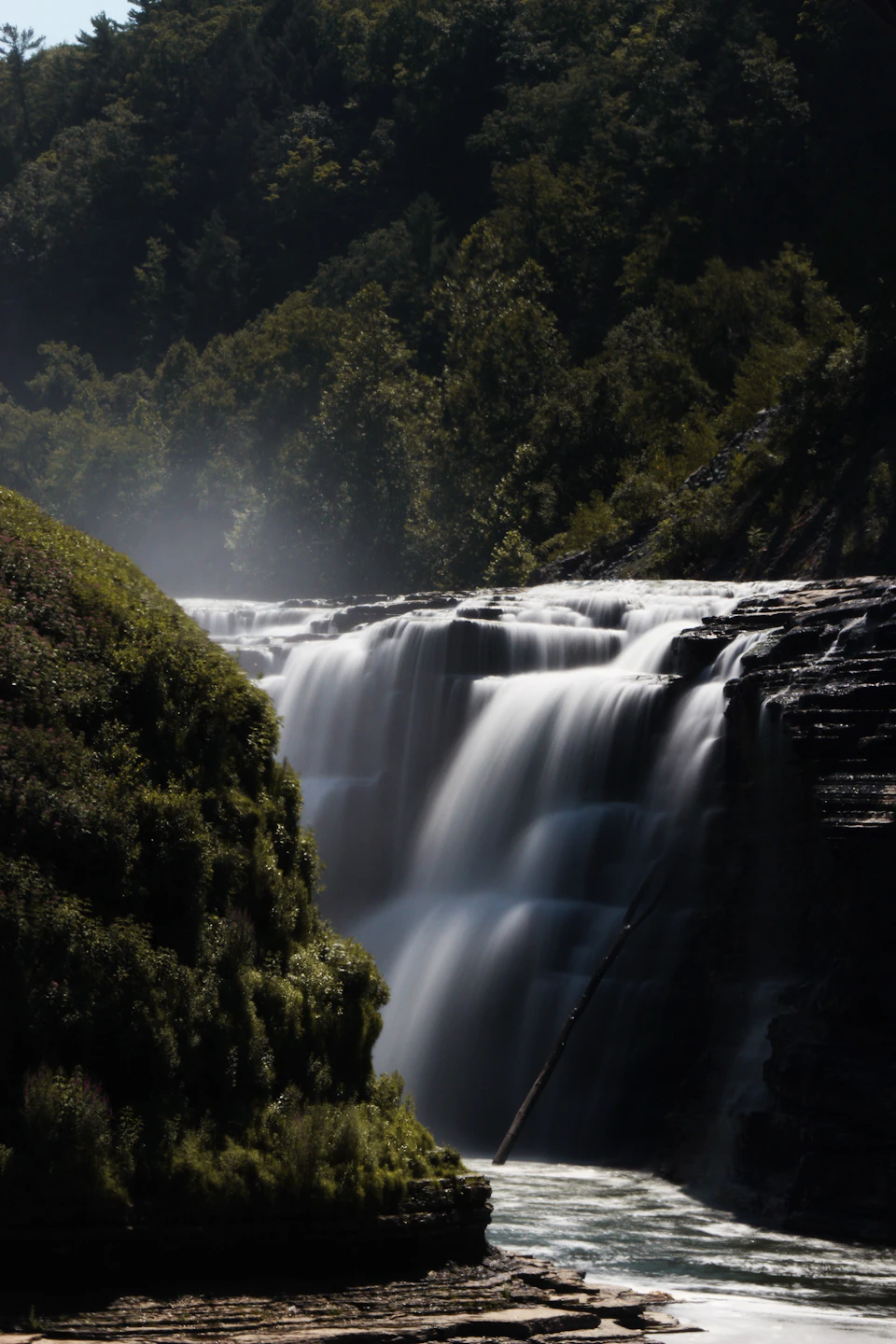 Letchworth waterfall and forest scenery