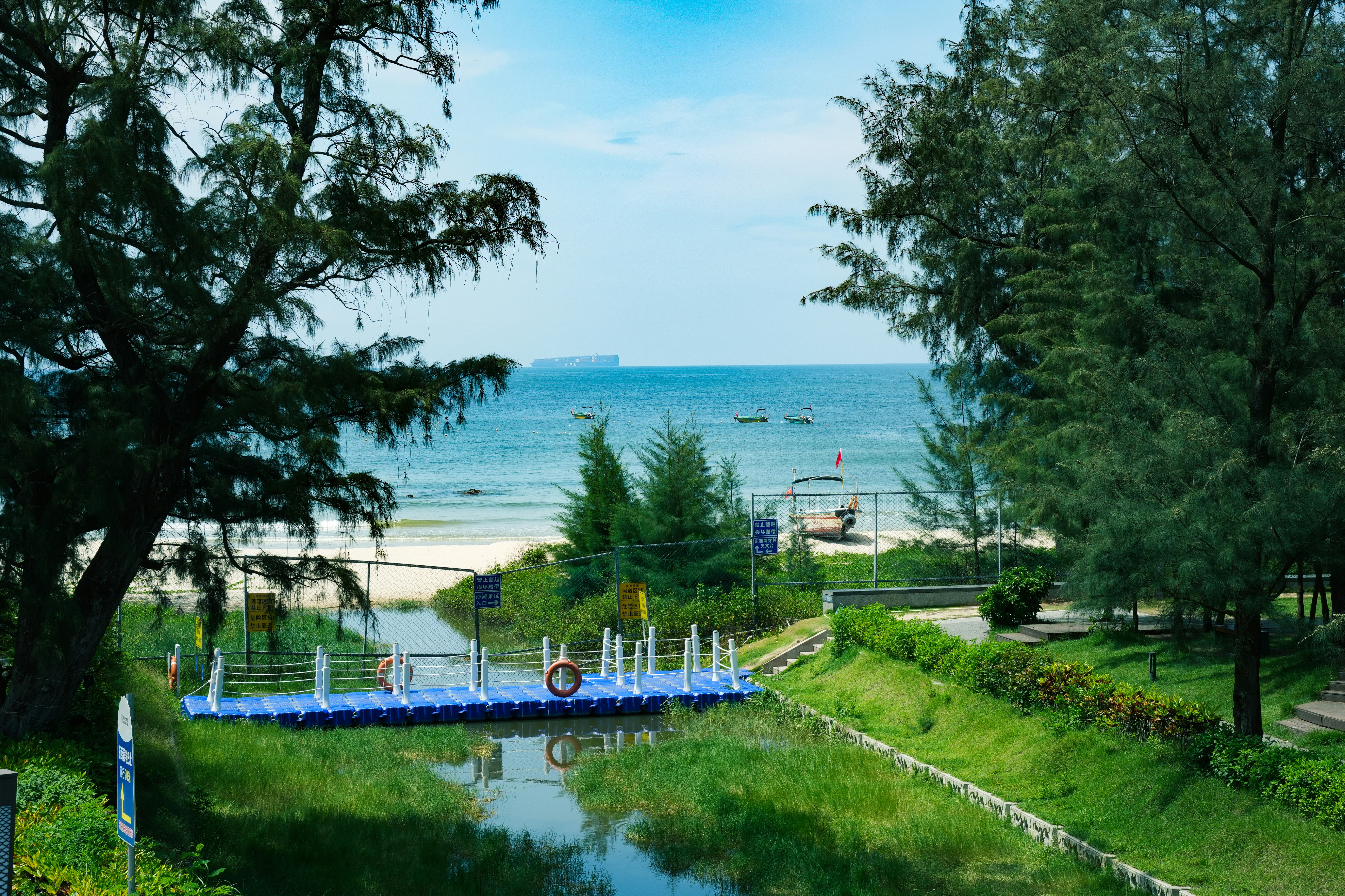 Beach view between trees with a blue sky. photo – Free Beach Image on ...