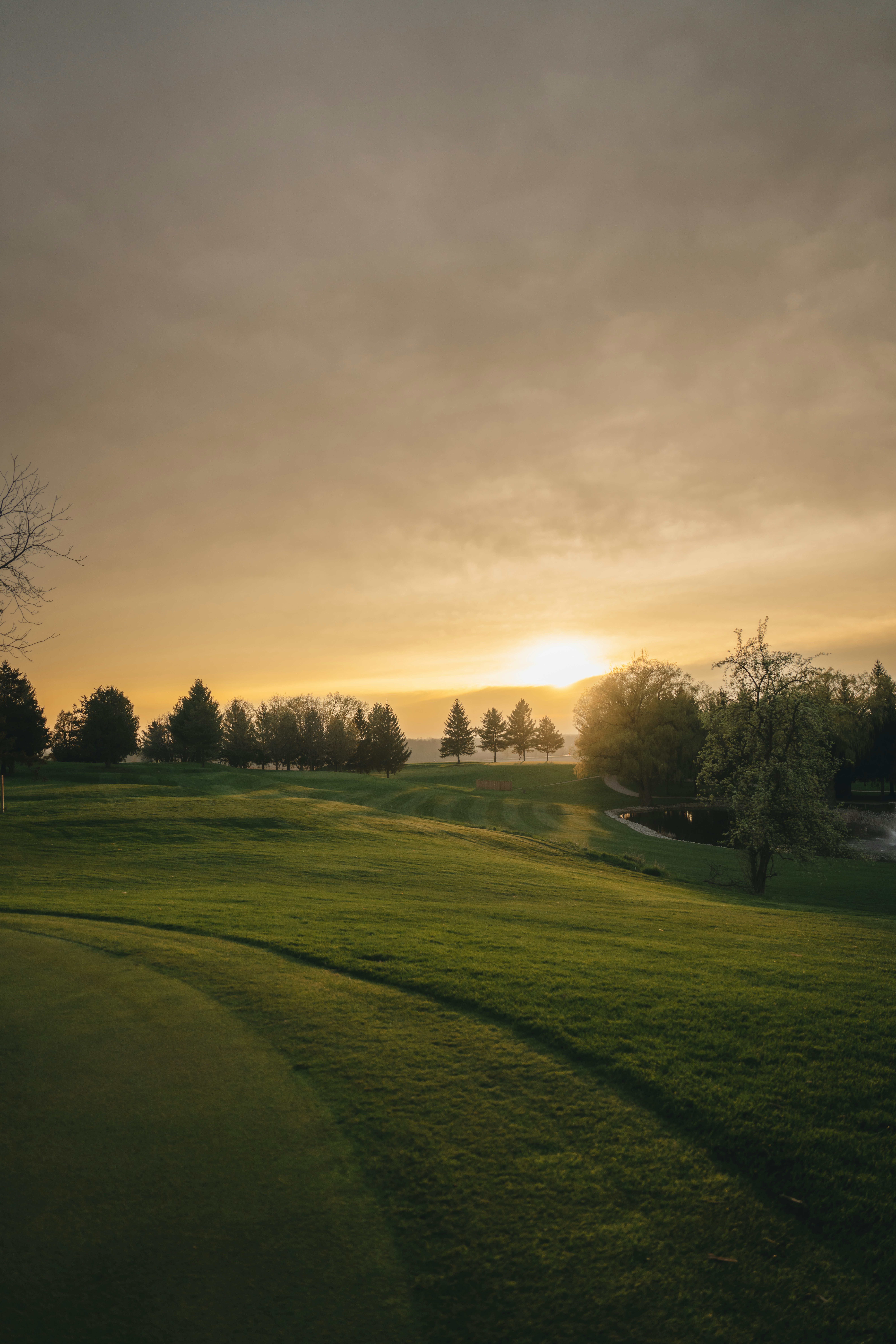 Photo by damiankravchuk