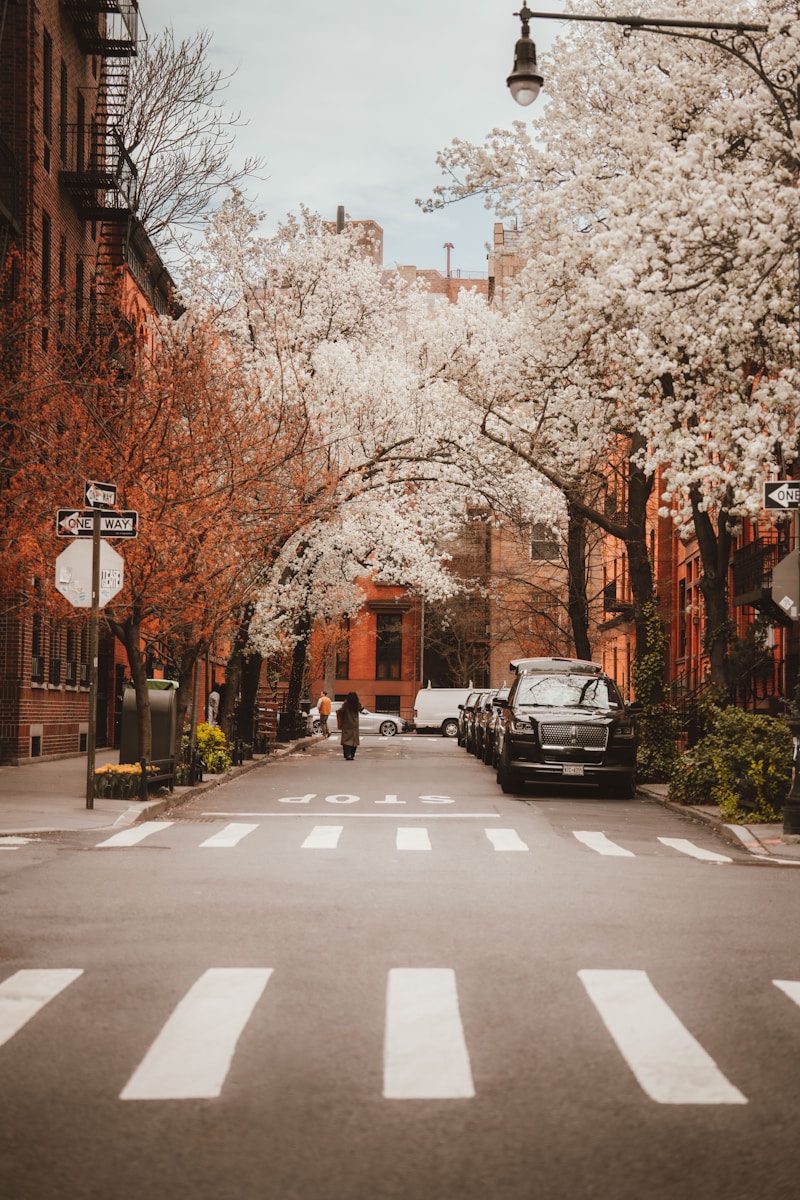 Former French Concession