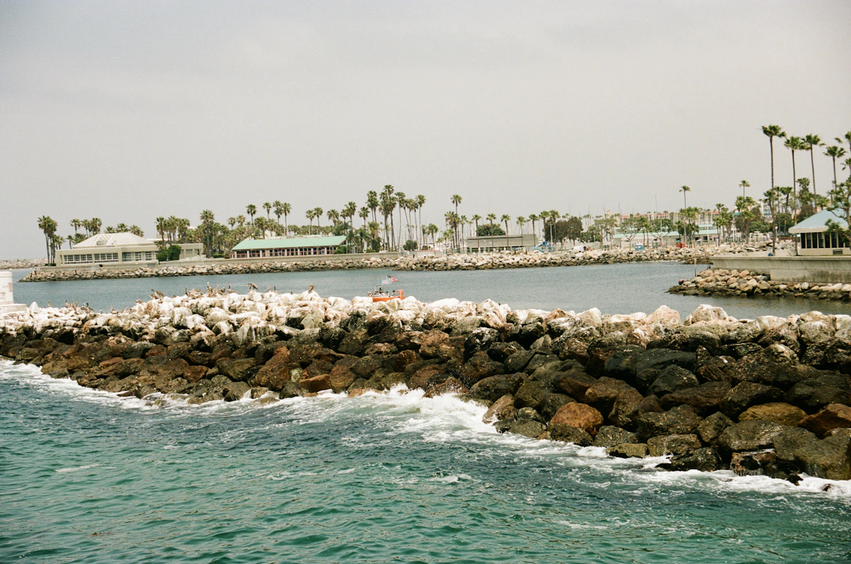 Rocky breakwater and palm trees near Redondo Beach