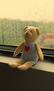 A teddy bear sits, watching the rain.