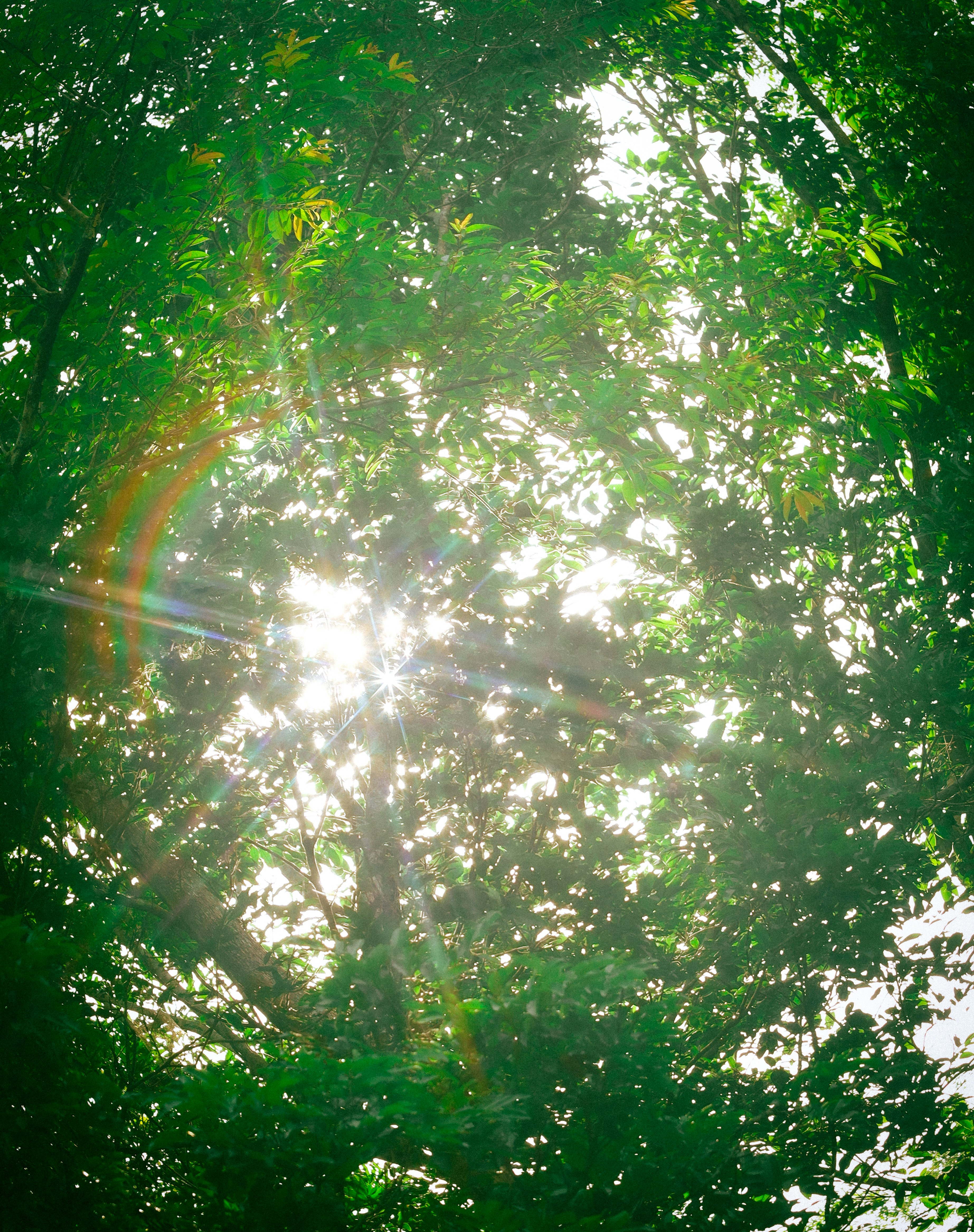 Photo by chuchu123456