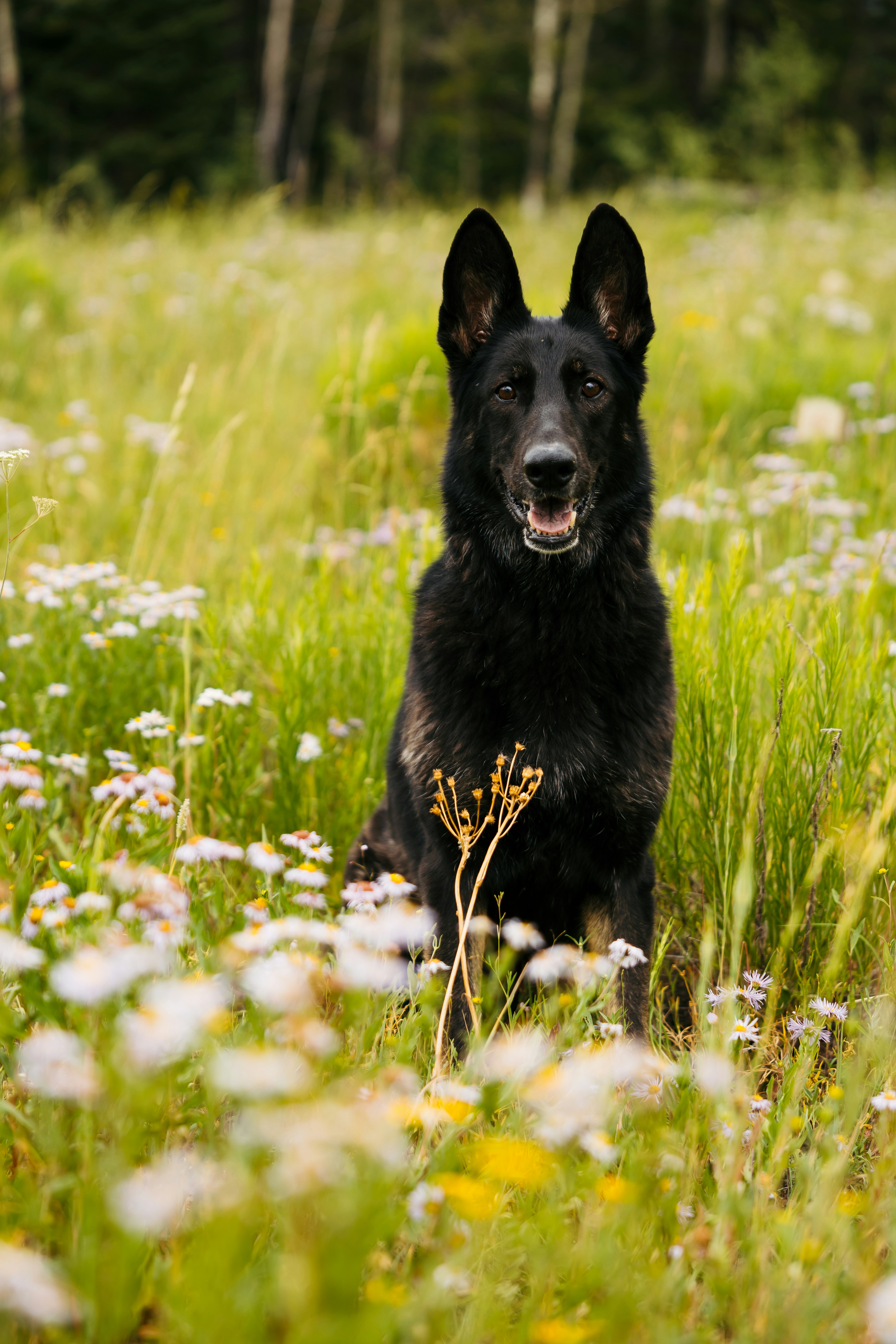 Photo by coltonsturgeon