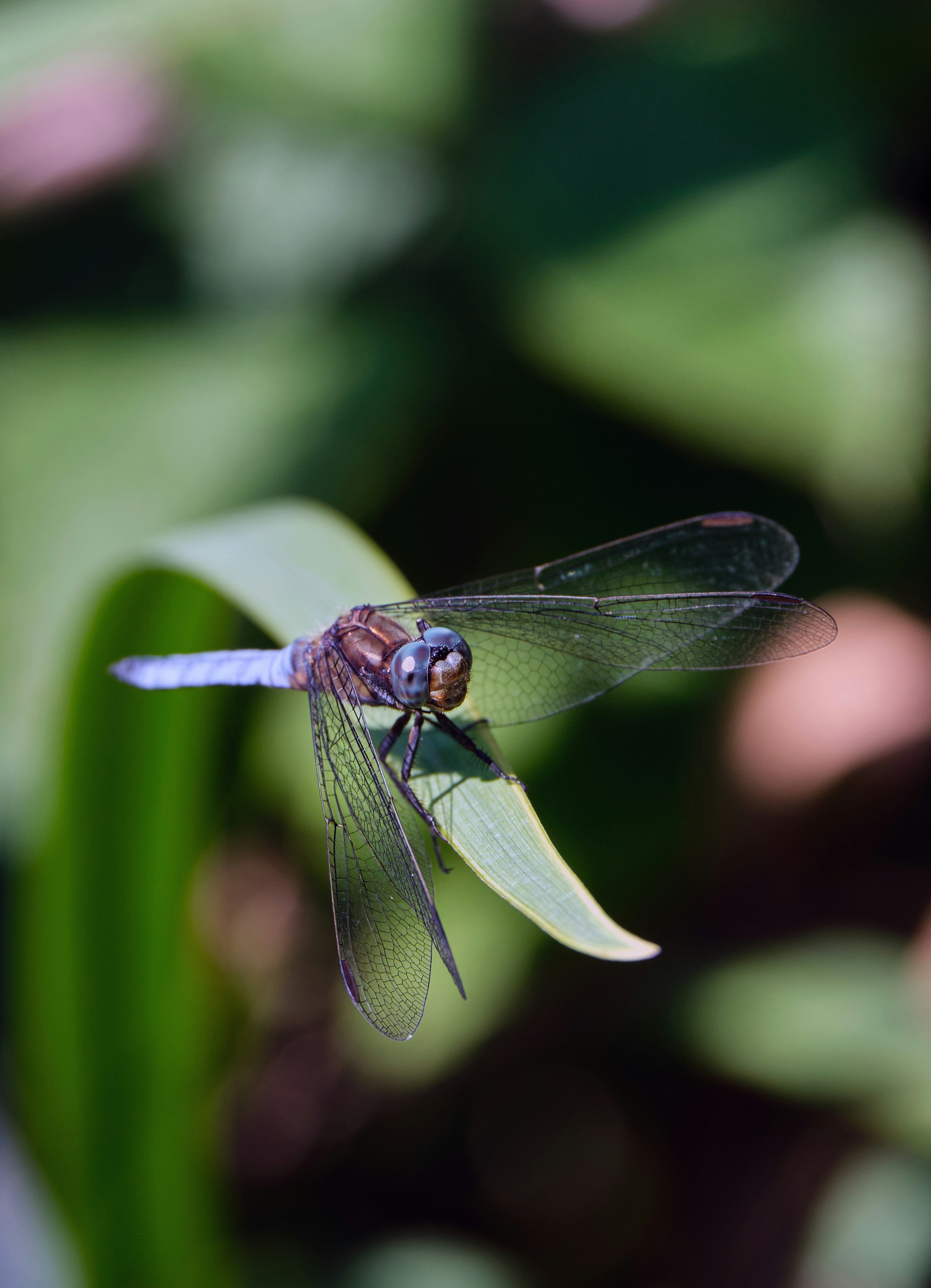 Photo by marcus_ganahl