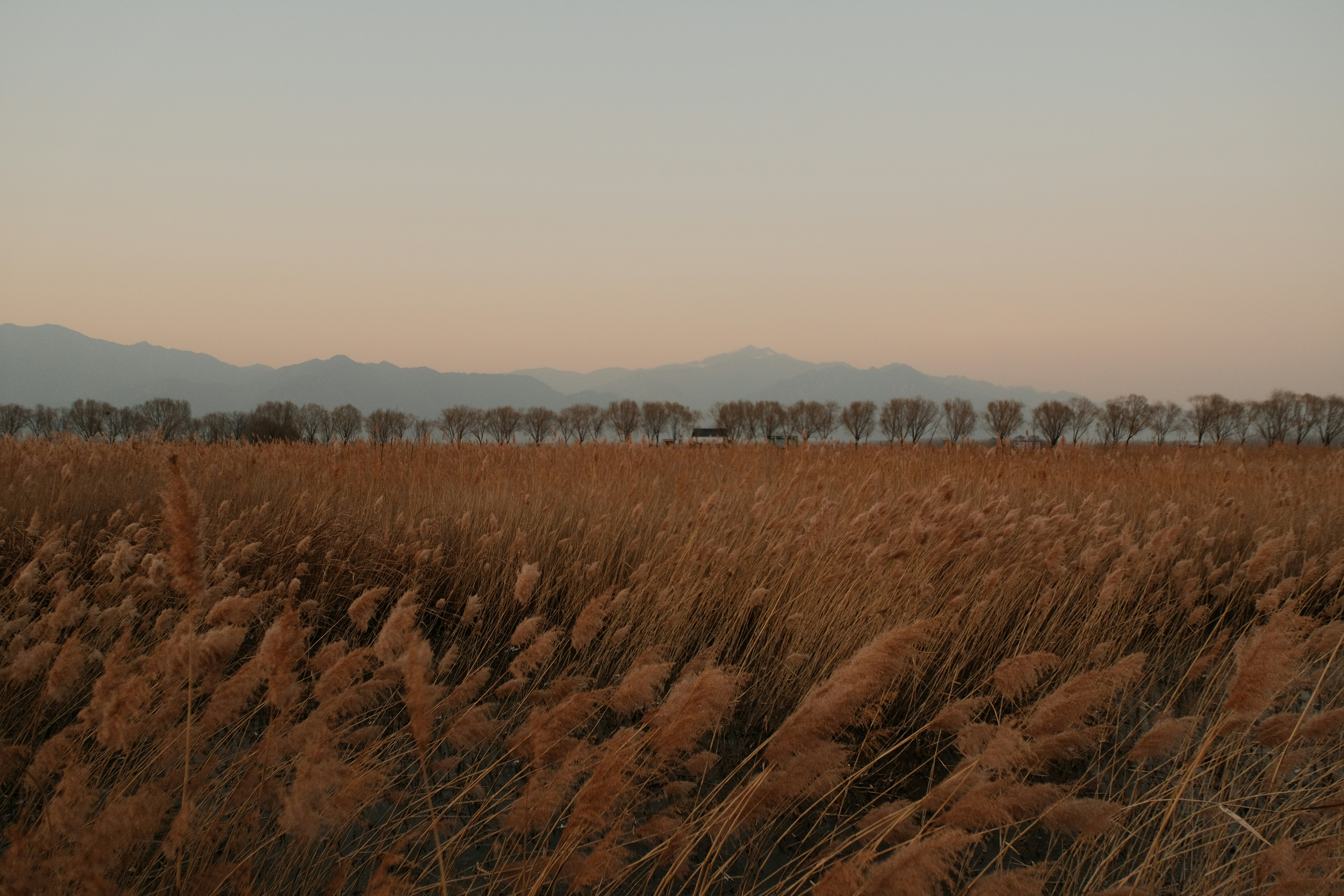 문경 돌리네습지 겨울 관련 이미지2