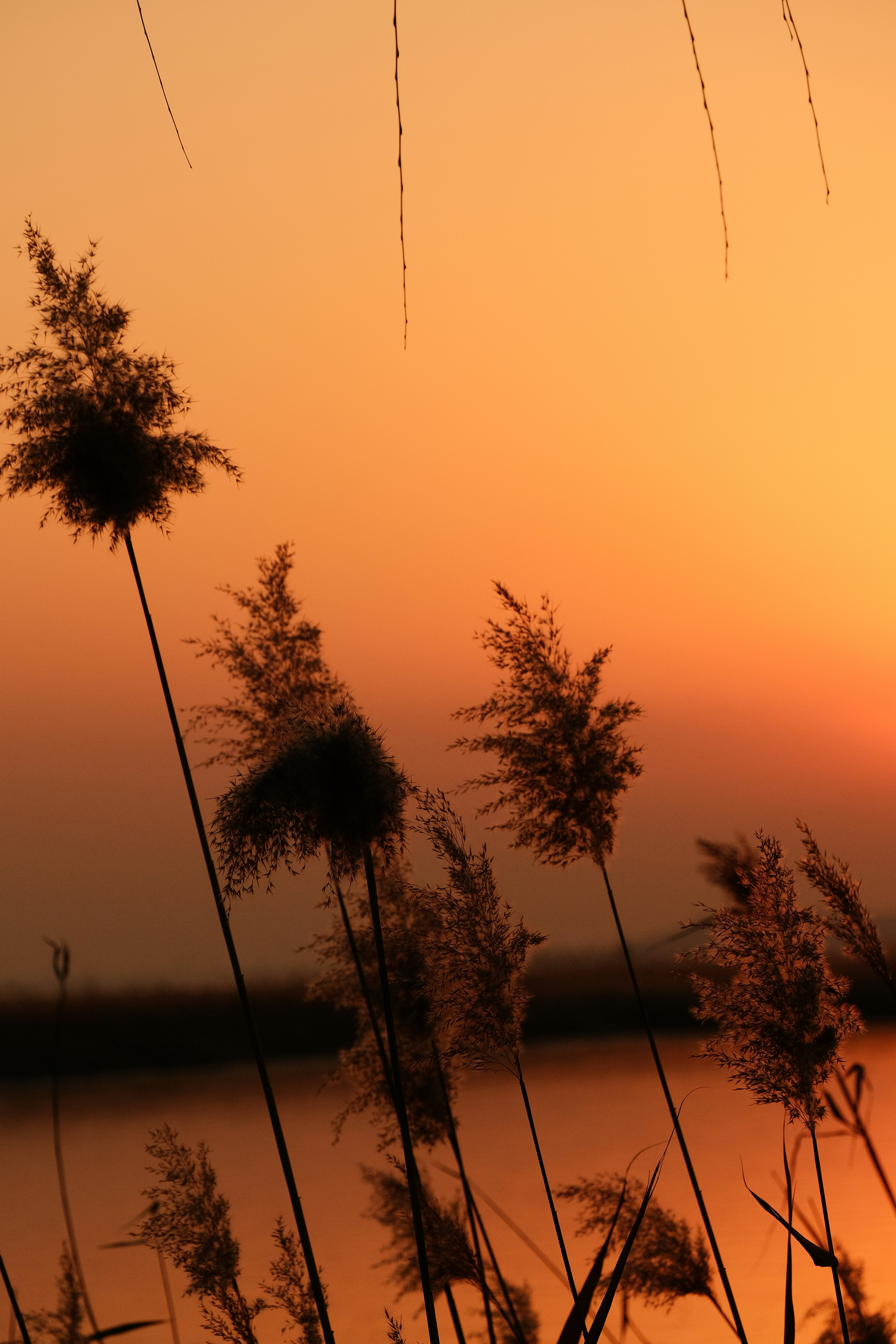 Photo by kyllle