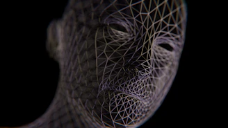 A wireframe head emerges from darkness