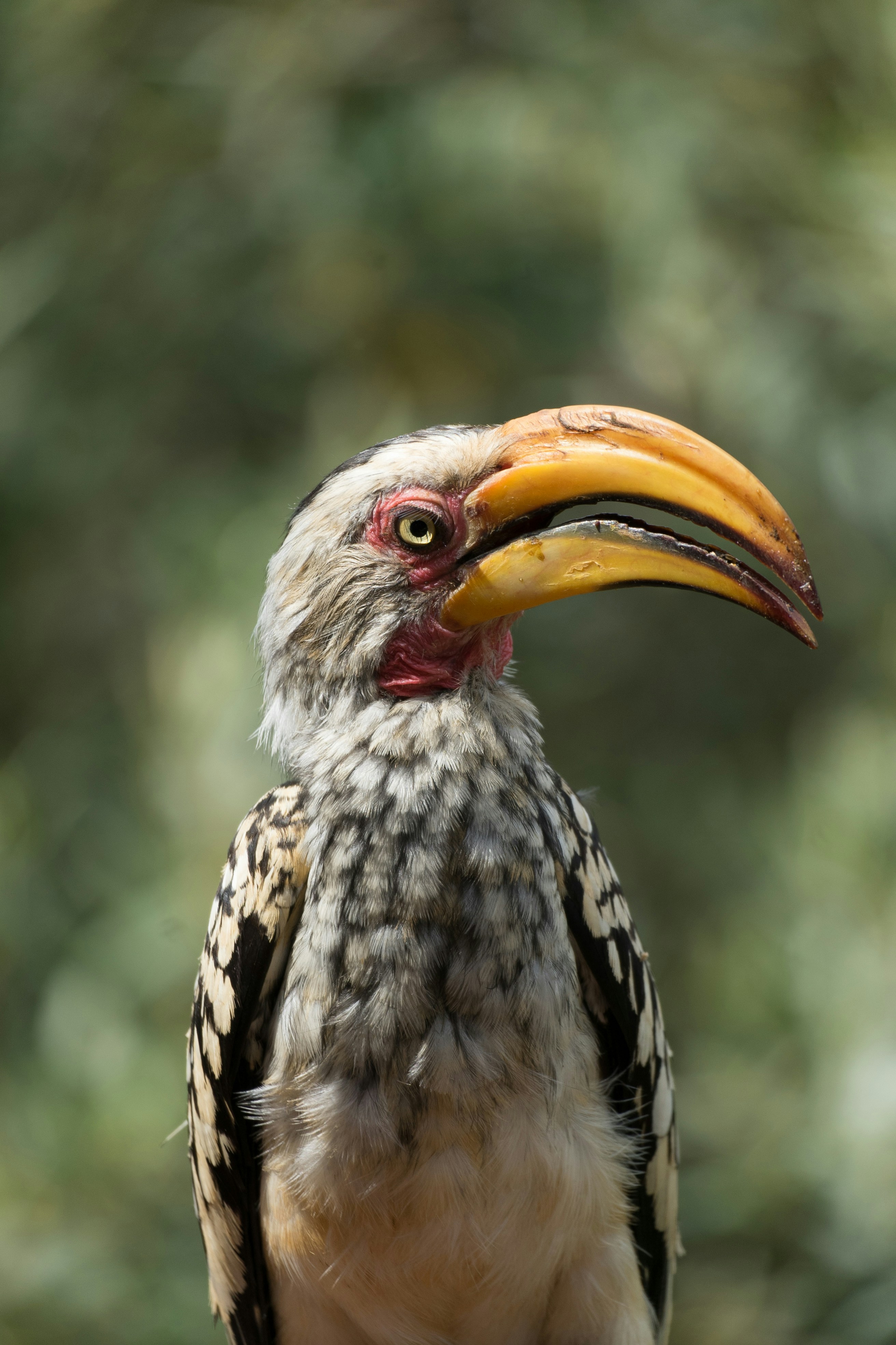 Photo by thisislewis