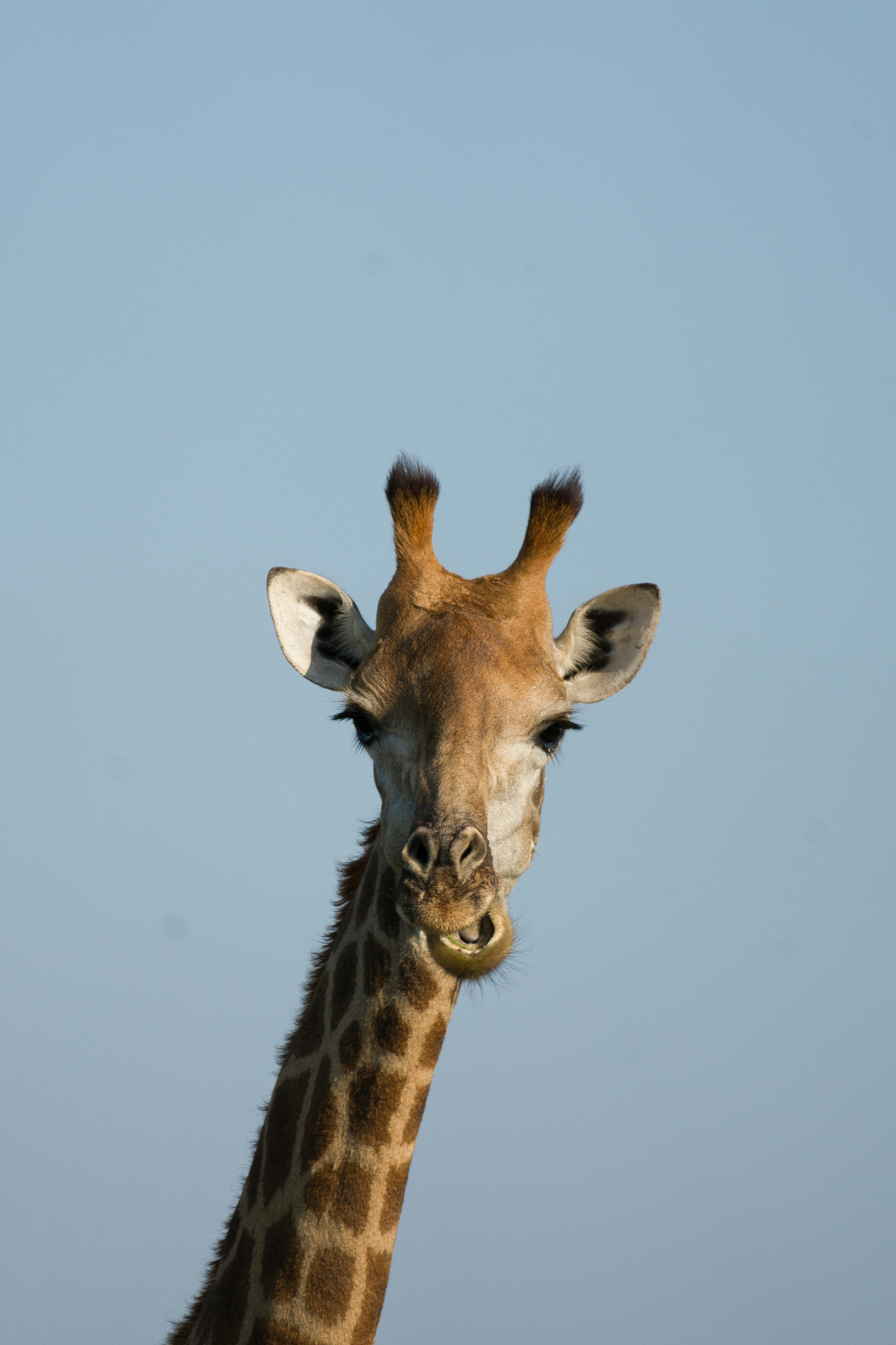 Photo by thisislewis