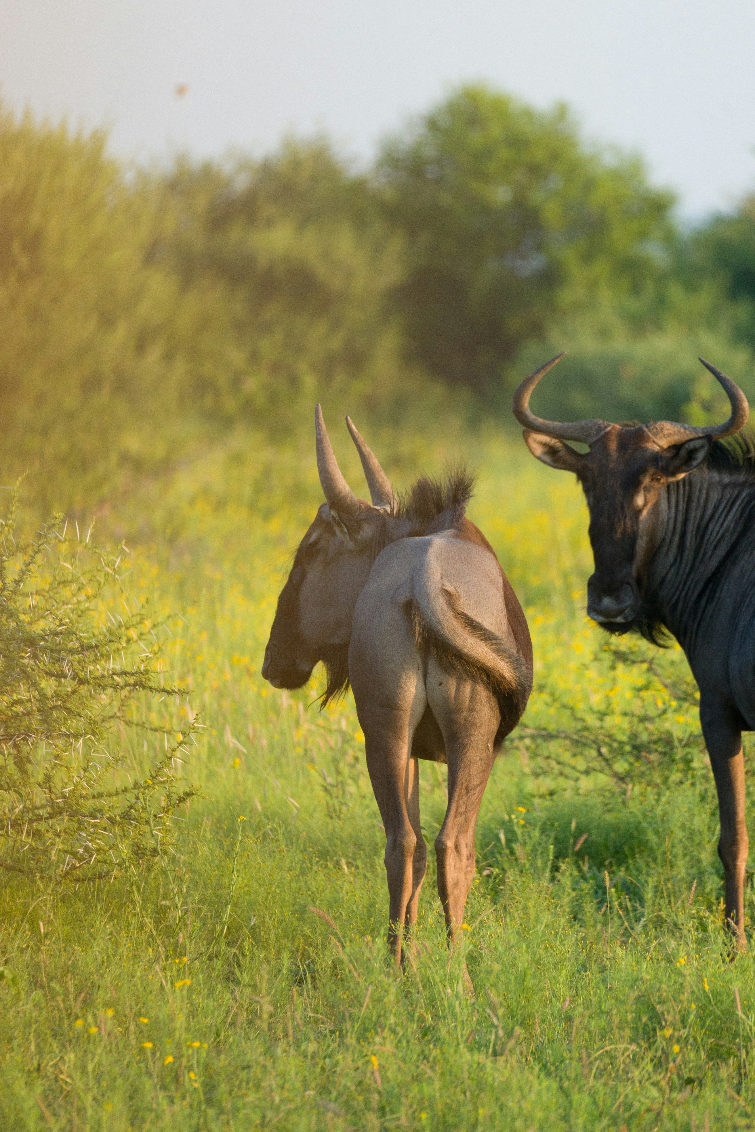 Photo by thisislewis