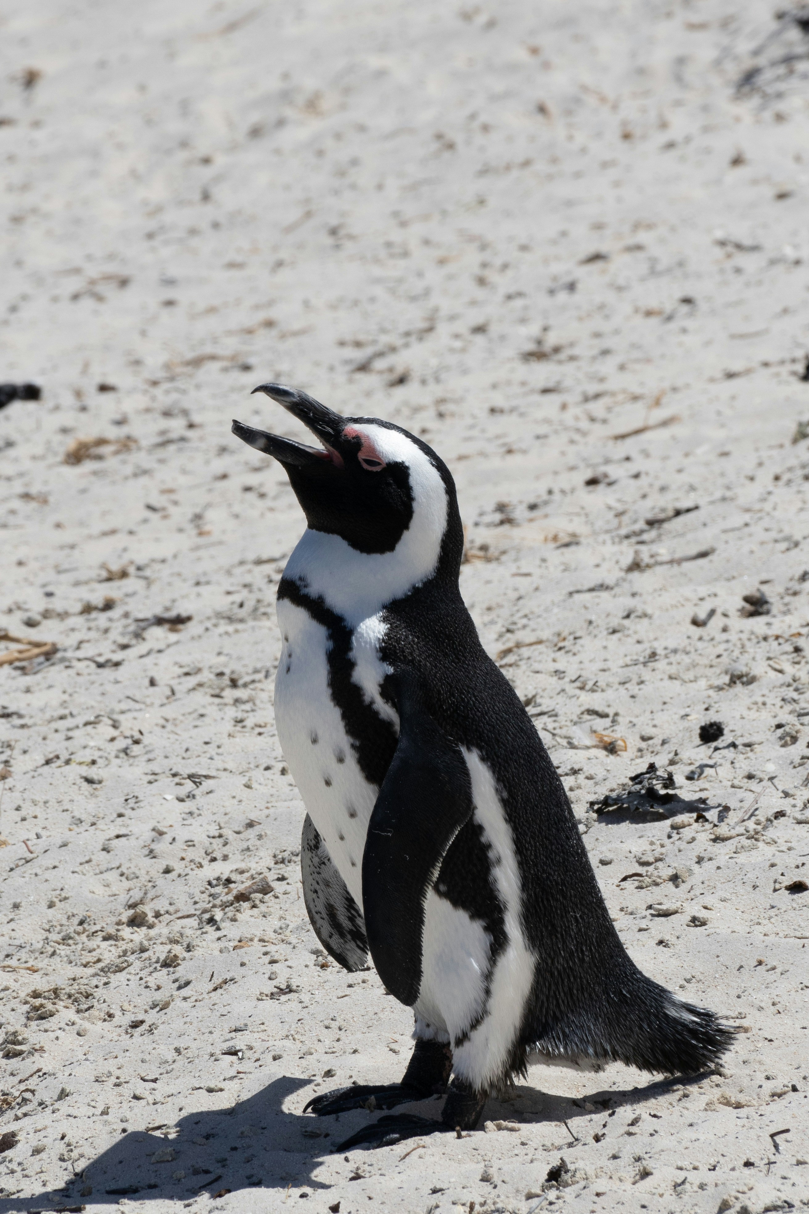 Photo by thisislewis