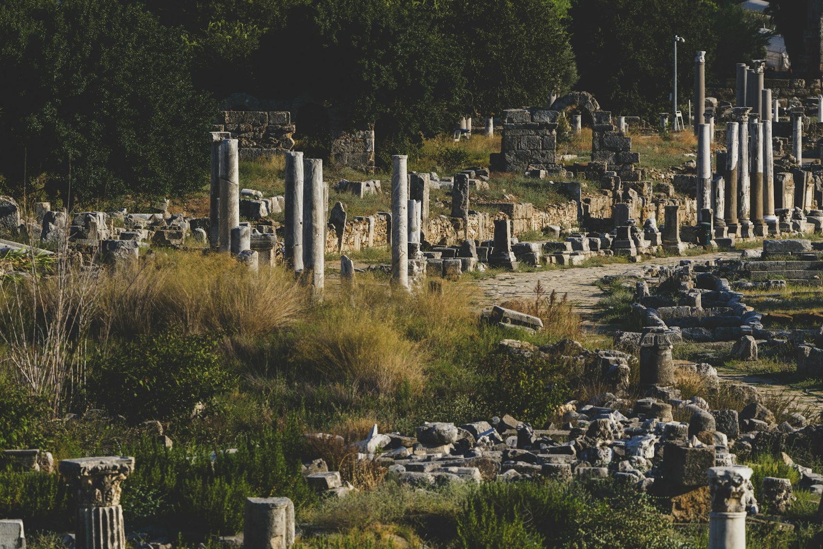 Marble columns along an ancient Roman street near Ephesus