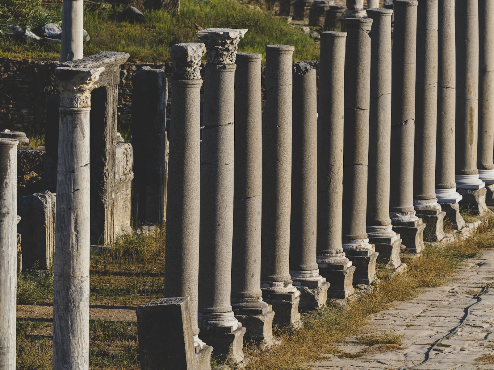 Rows of ancient stone columns