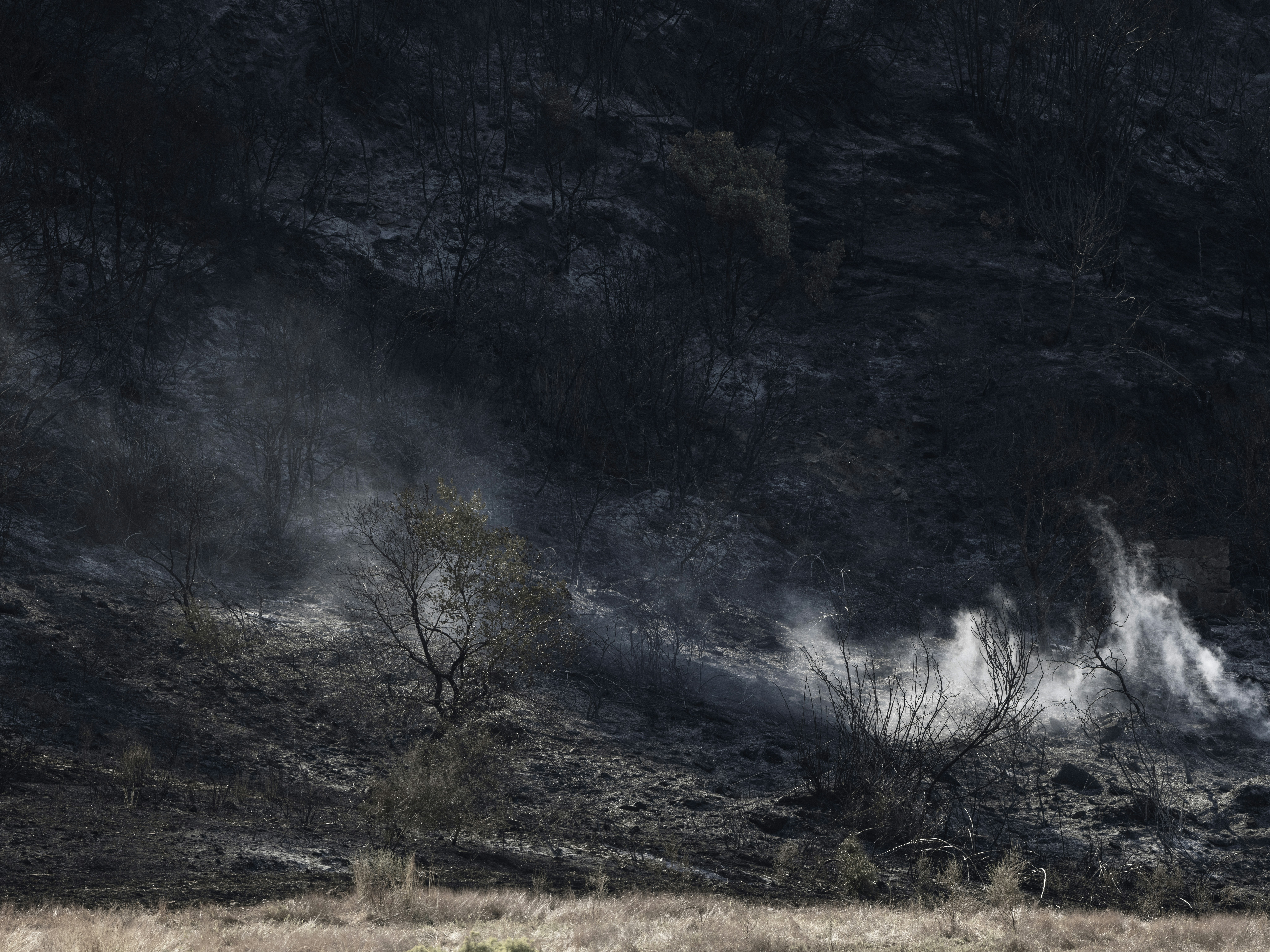 Smoke billows from a burnt landscape.
