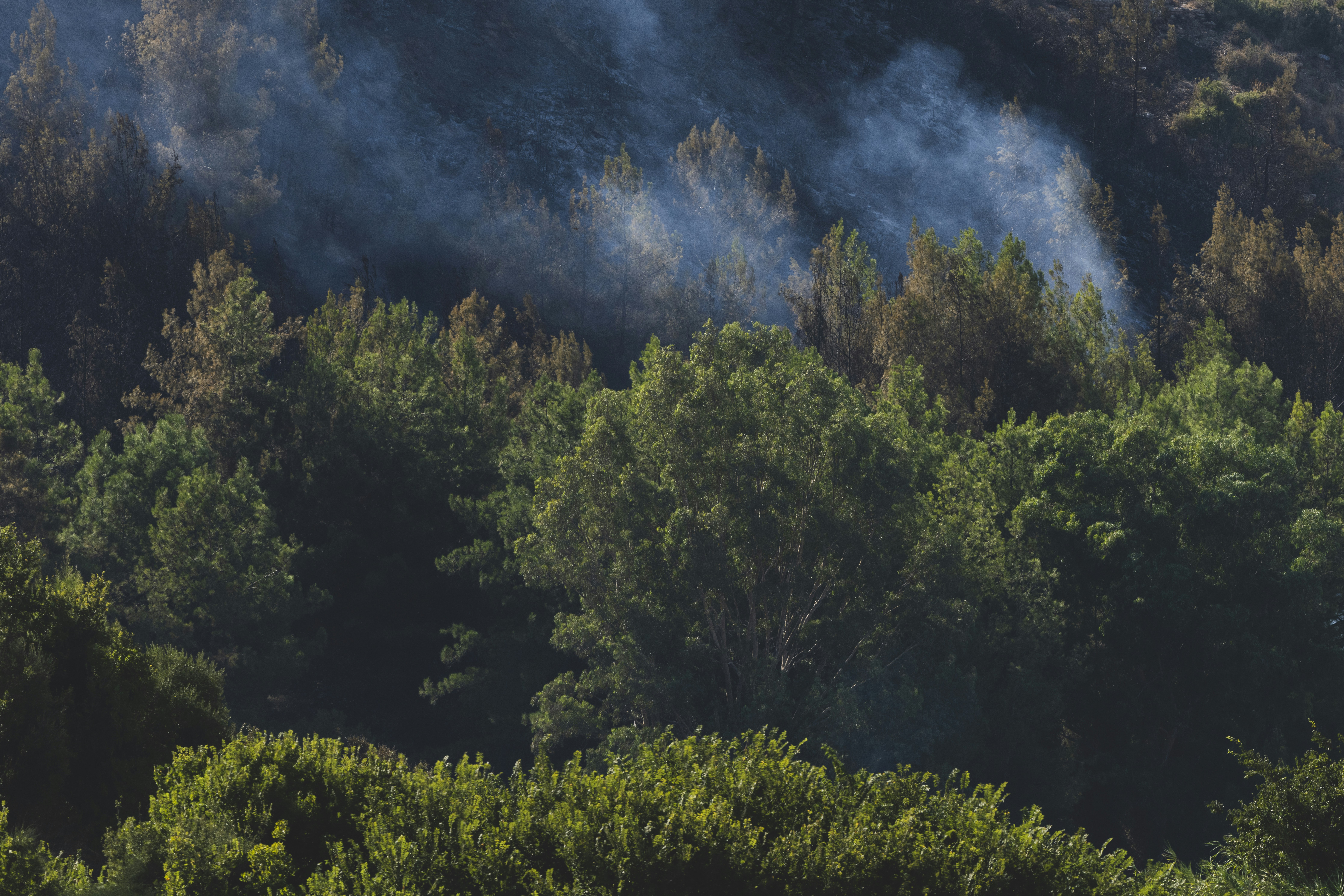 Photo by enginakyurt