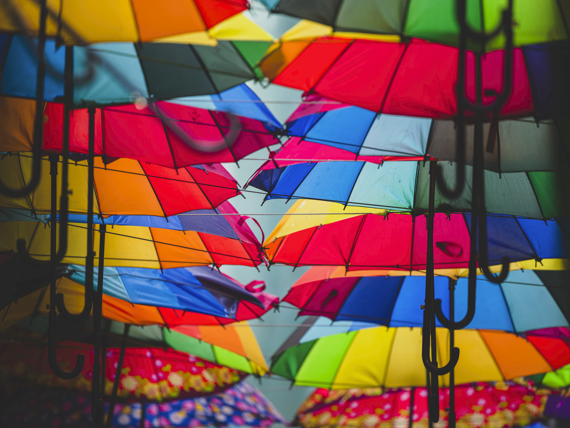 Colorful umbrellas create a vibrant display