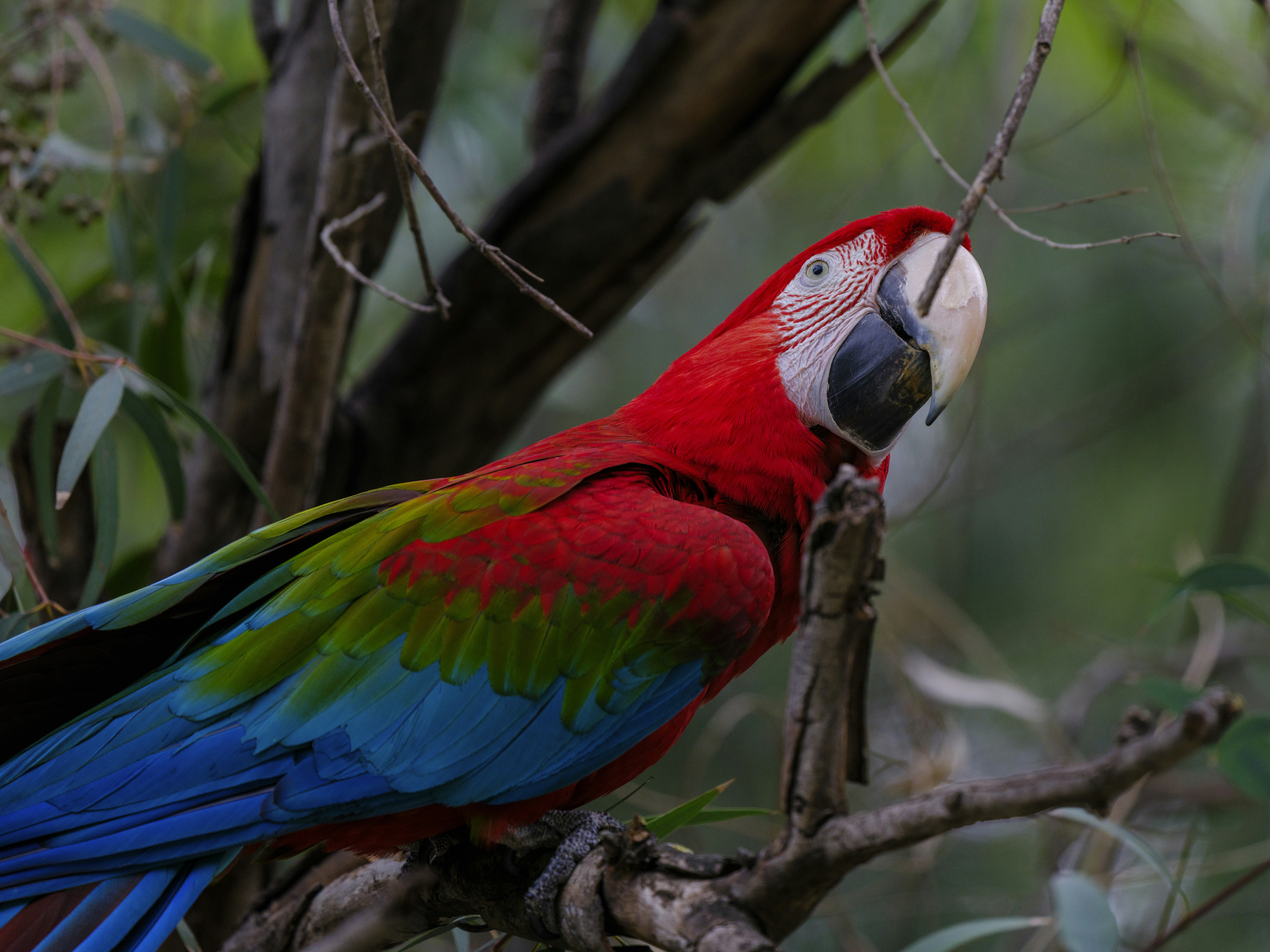 Photo by enginakyurt