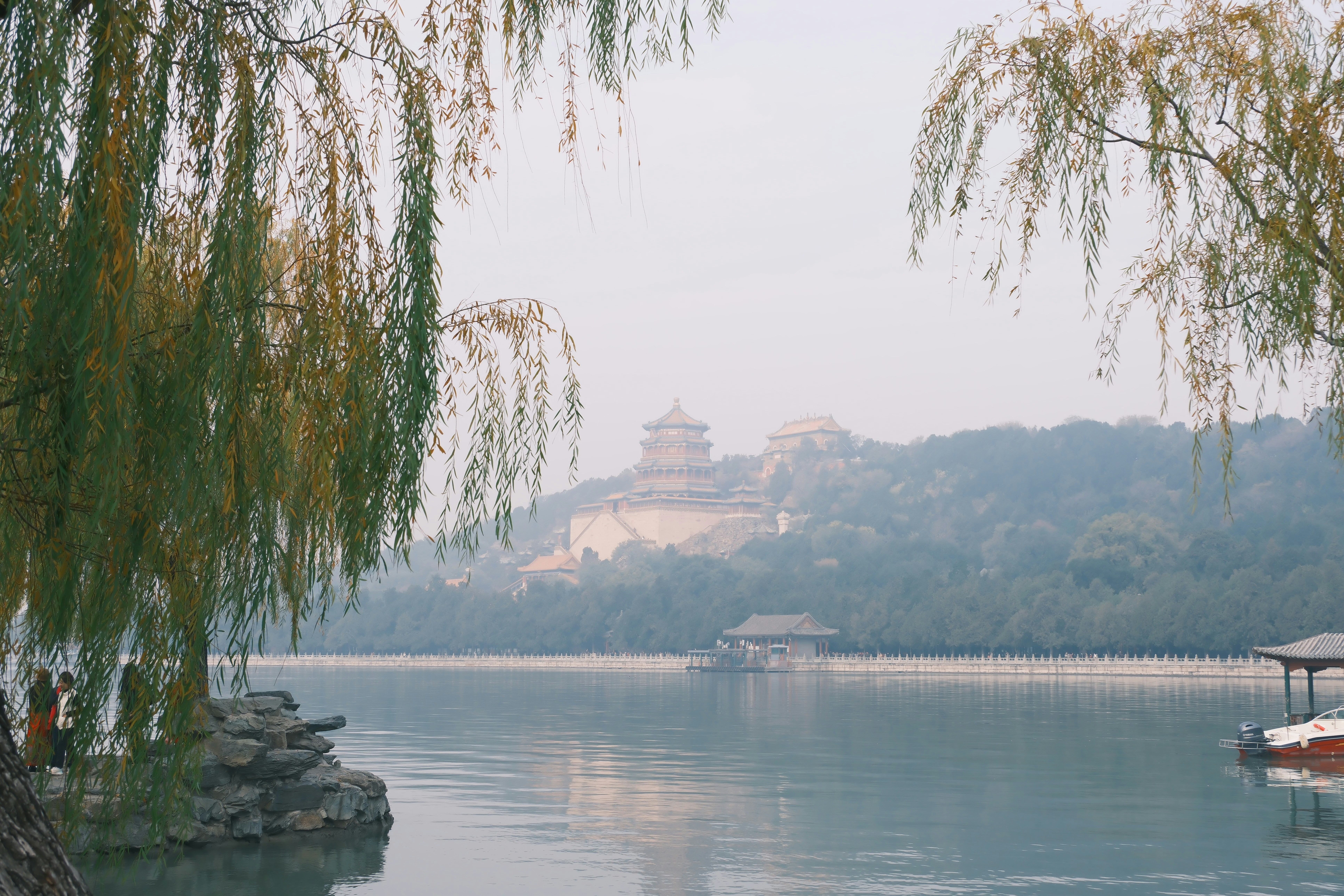 Photo by terrycarnivoroua