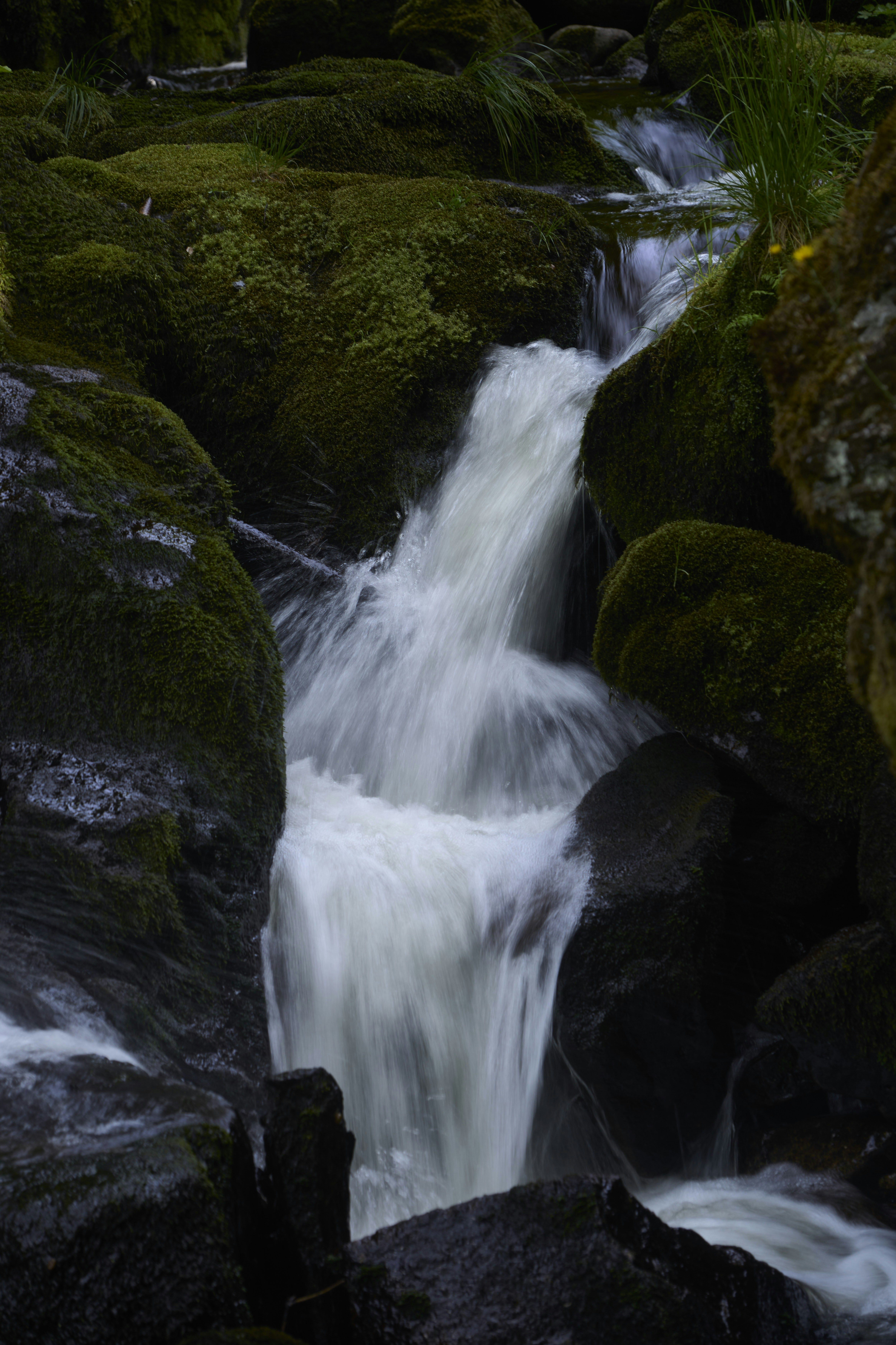 Photo by wolfgang_hasselmann