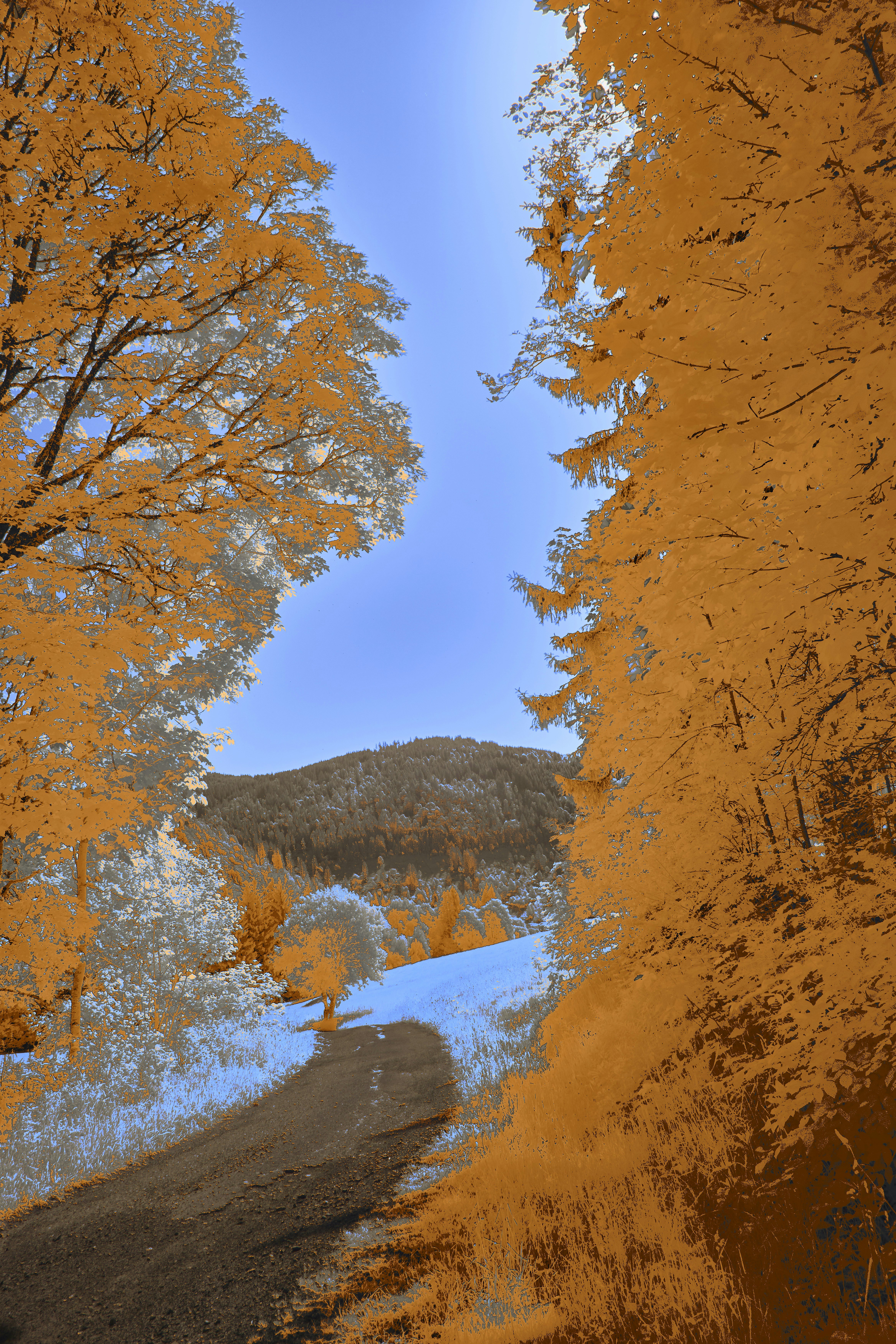 Photo by wolfgang_hasselmann