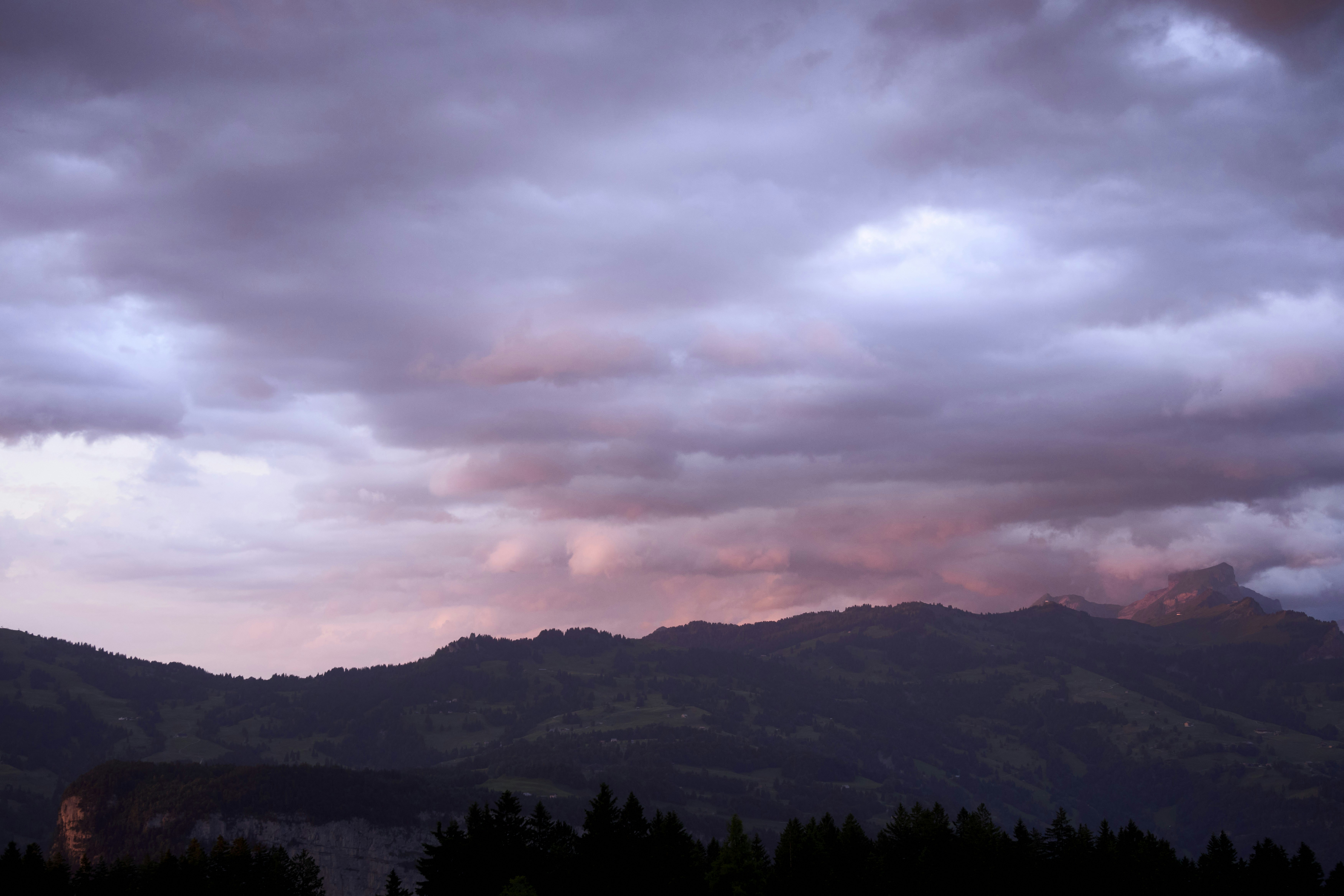 Photo by wolfgang_hasselmann
