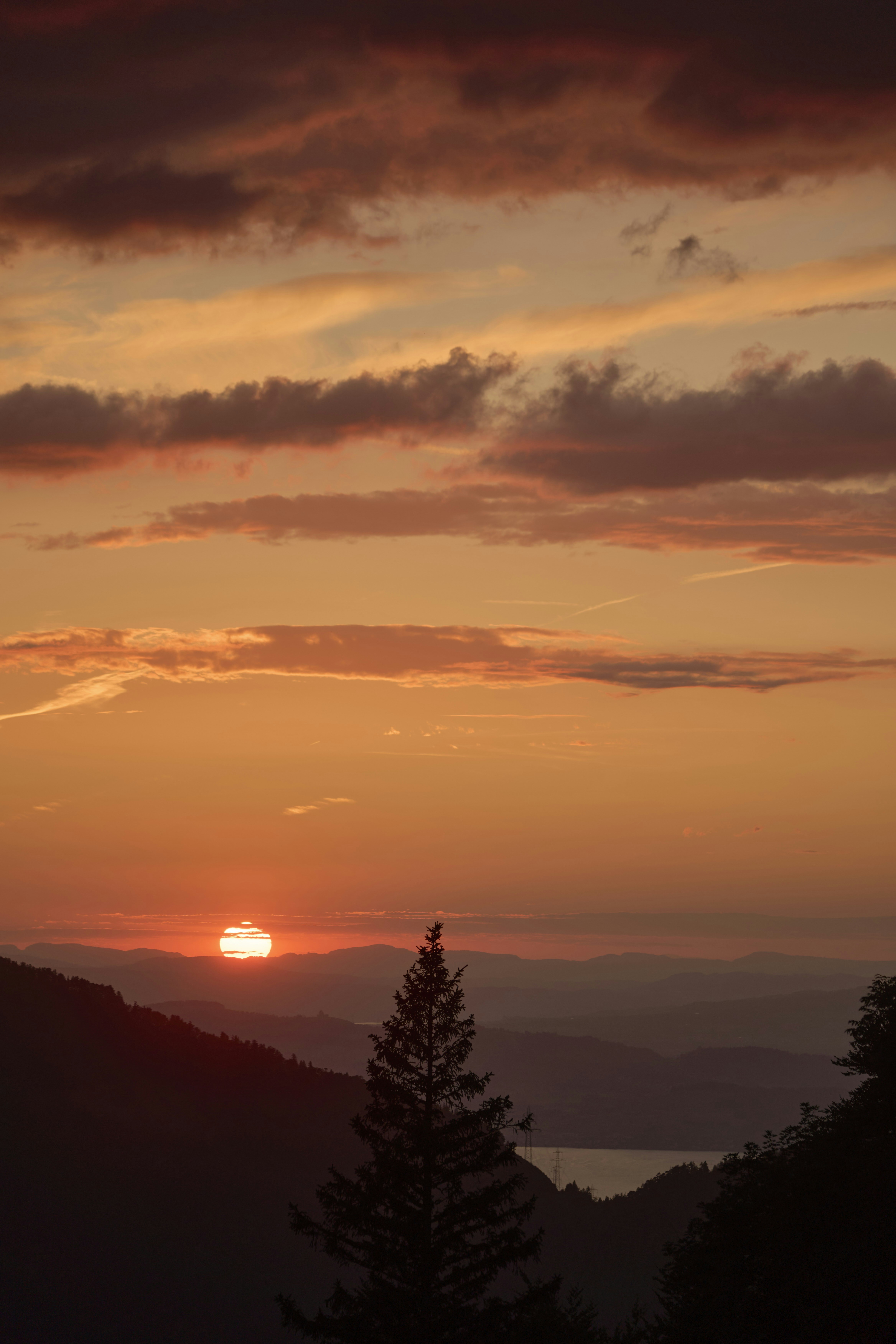 Photo by wolfgang_hasselmann