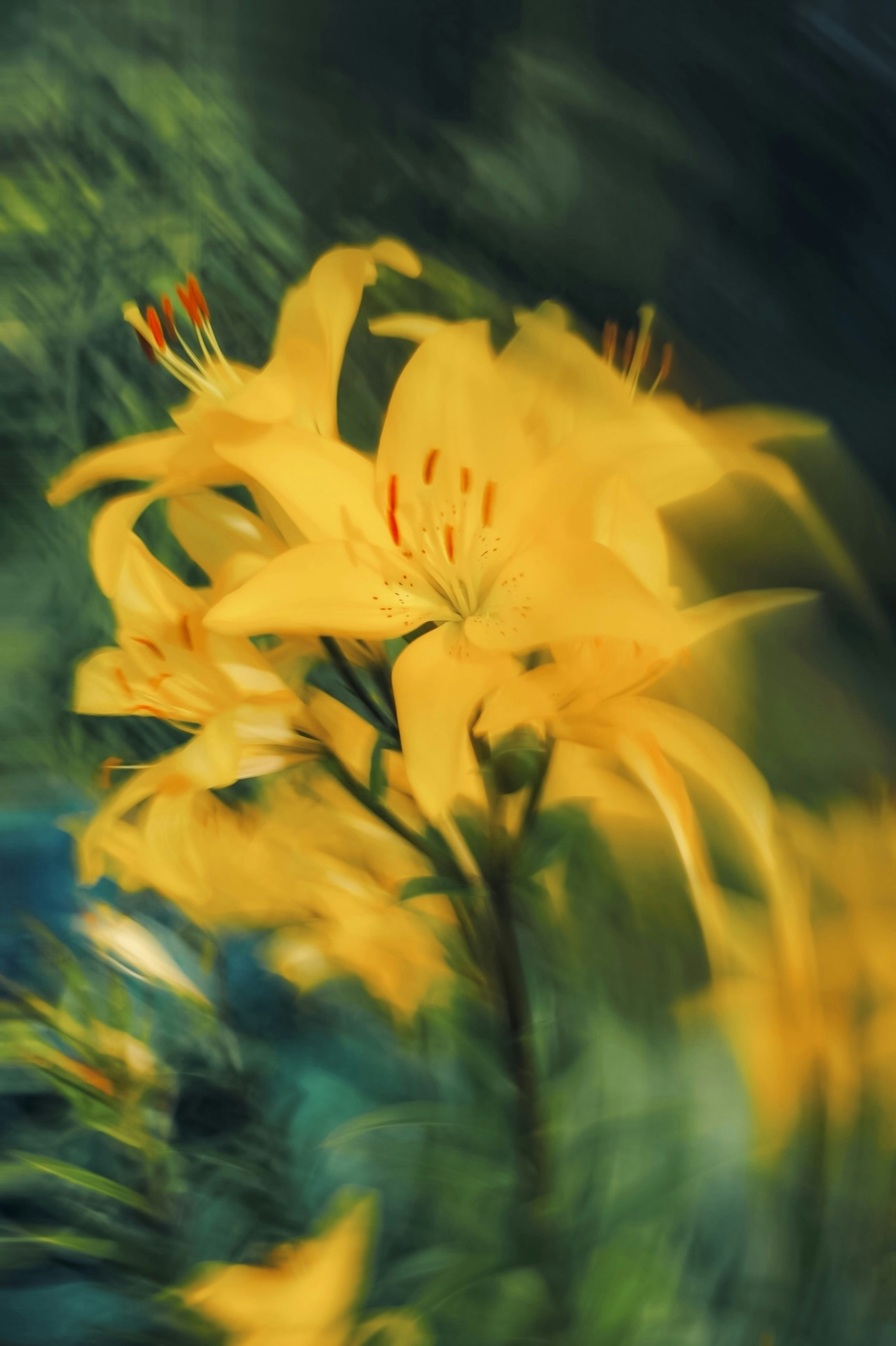 Photo by eugene_golovesov