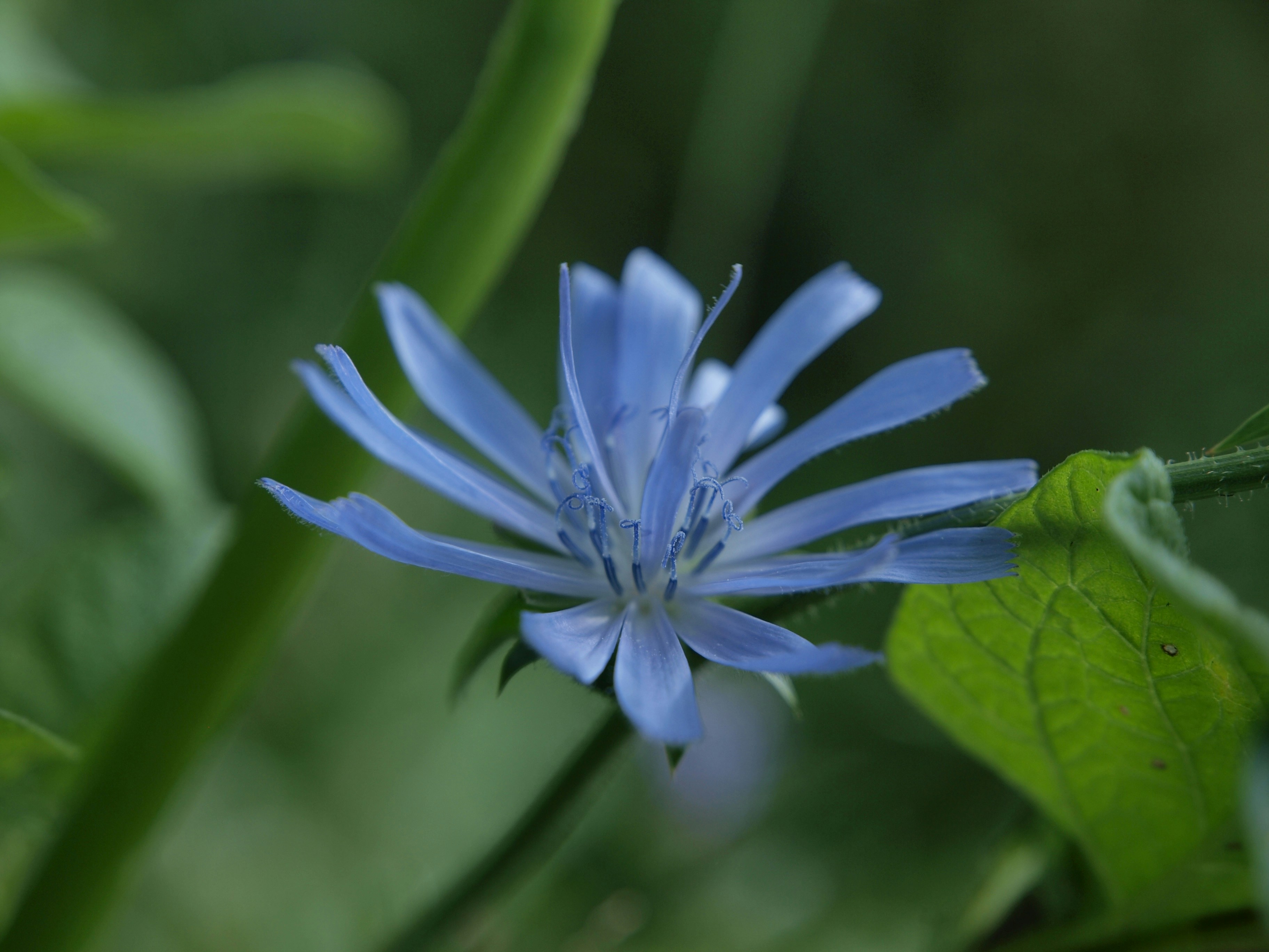 Photo by myworldisblue